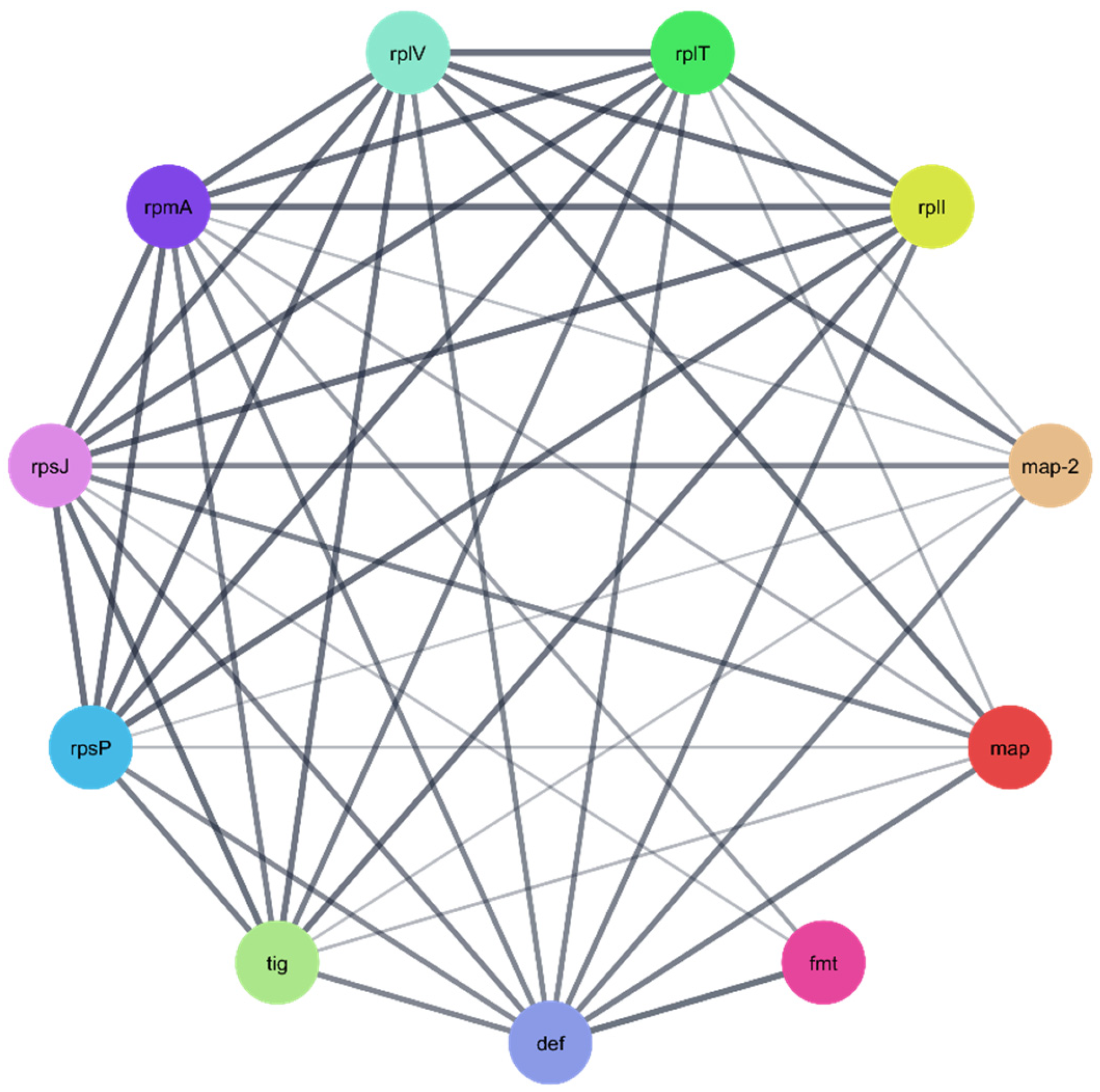 Pharmaceuticals 18 01262 g012