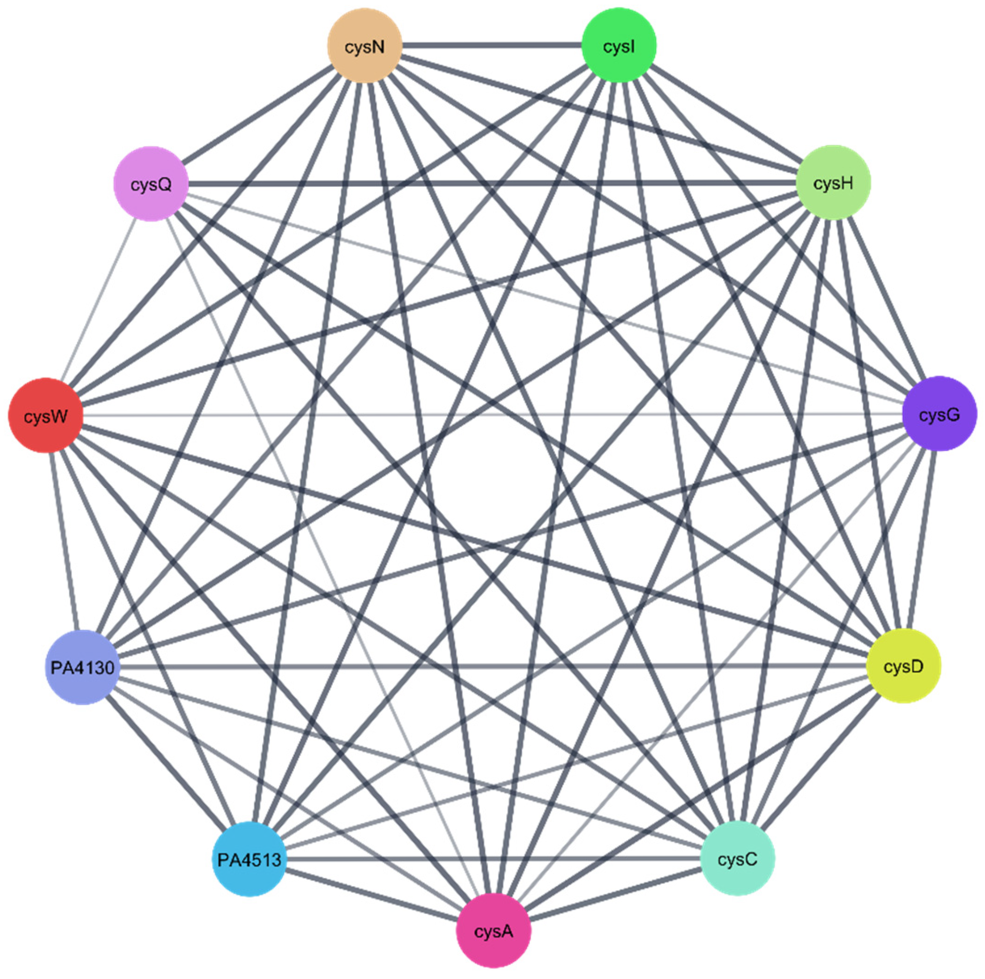 Pharmaceuticals 18 01262 g014