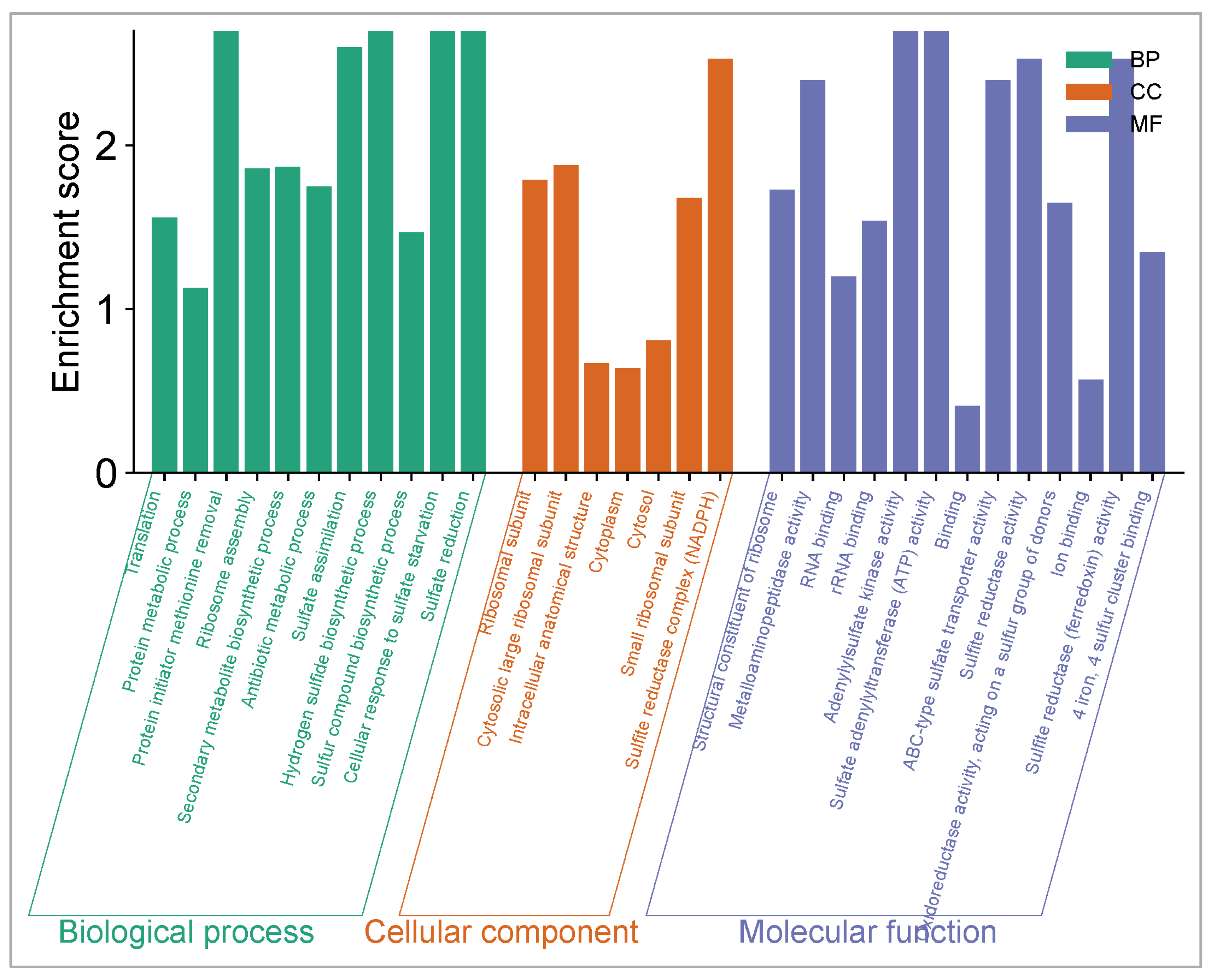 Pharmaceuticals 18 01262 g015