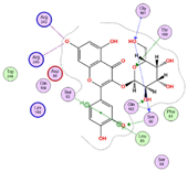 Pharmaceuticals 18 01262 i004