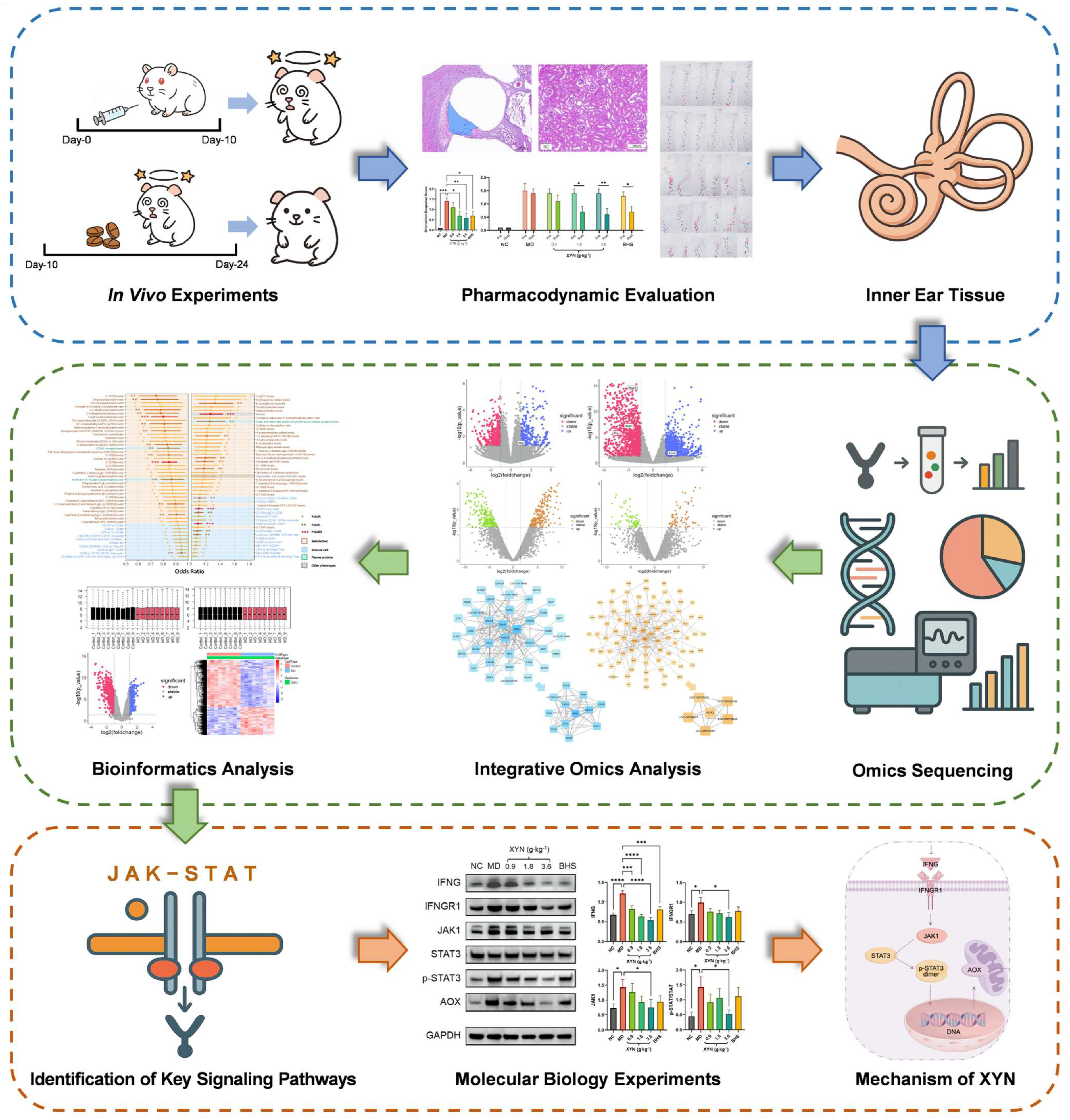 Pharmaceuticals 18 01266 g001 Pharmaceuticals 18 01266 g001