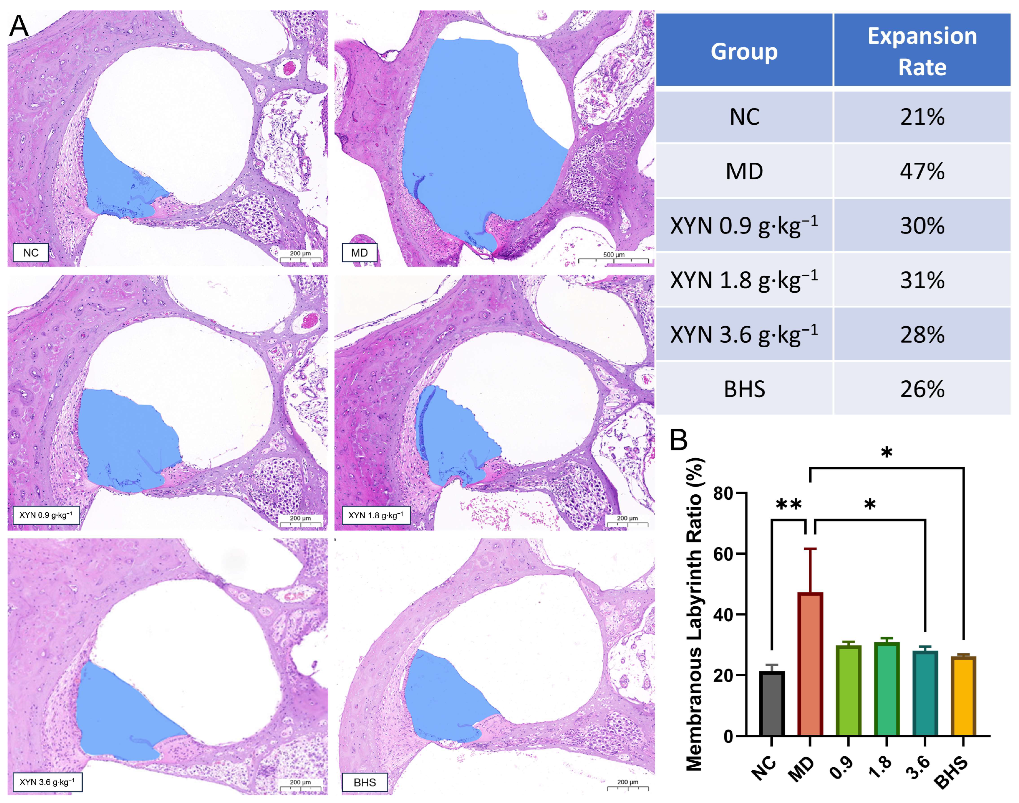 Pharmaceuticals 18 01266 g003 Pharmaceuticals 18 01266 g003