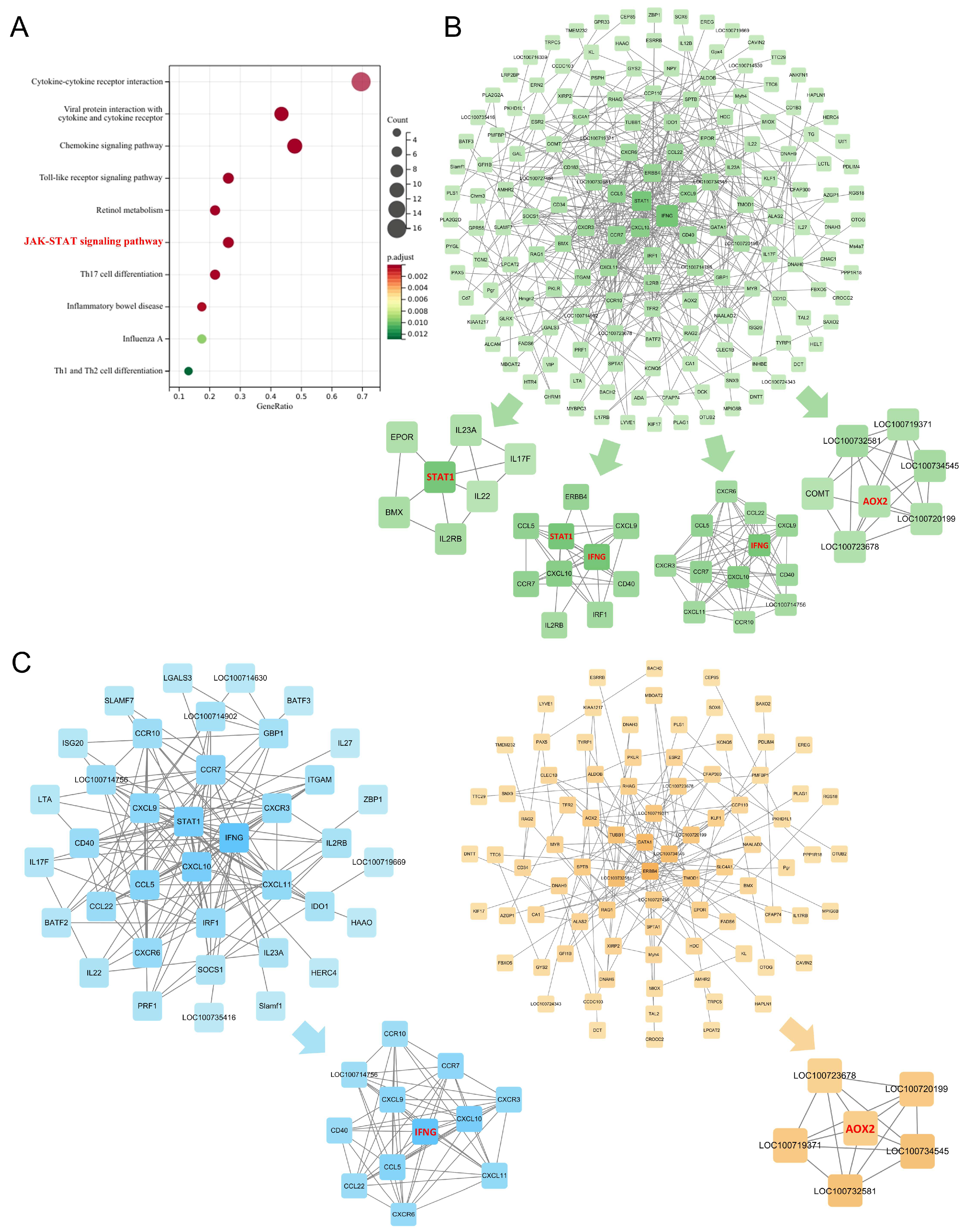 Pharmaceuticals 18 01266 g008 Pharmaceuticals 18 01266 g008
