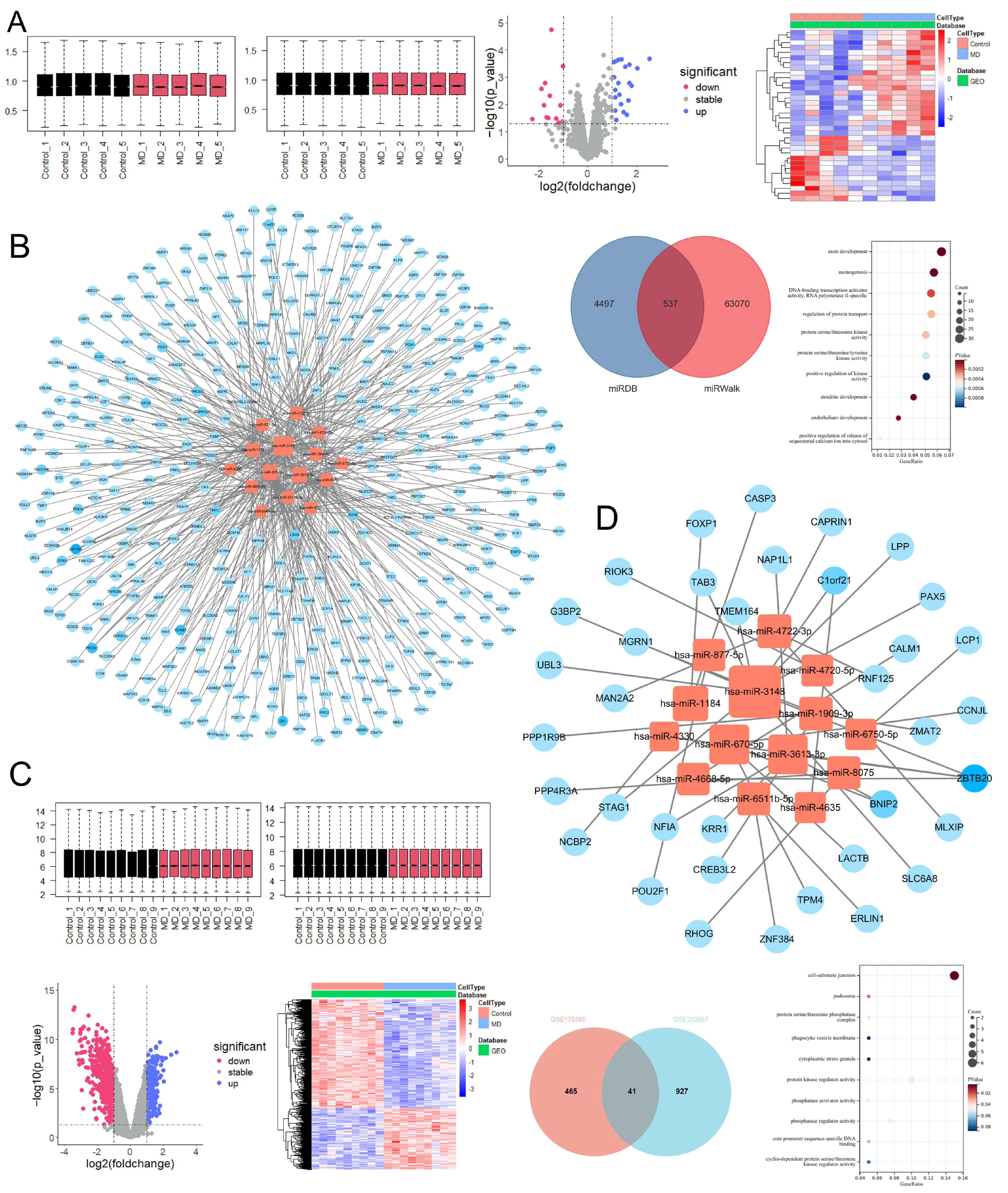 Pharmaceuticals 18 01266 g009 Pharmaceuticals 18 01266 g009