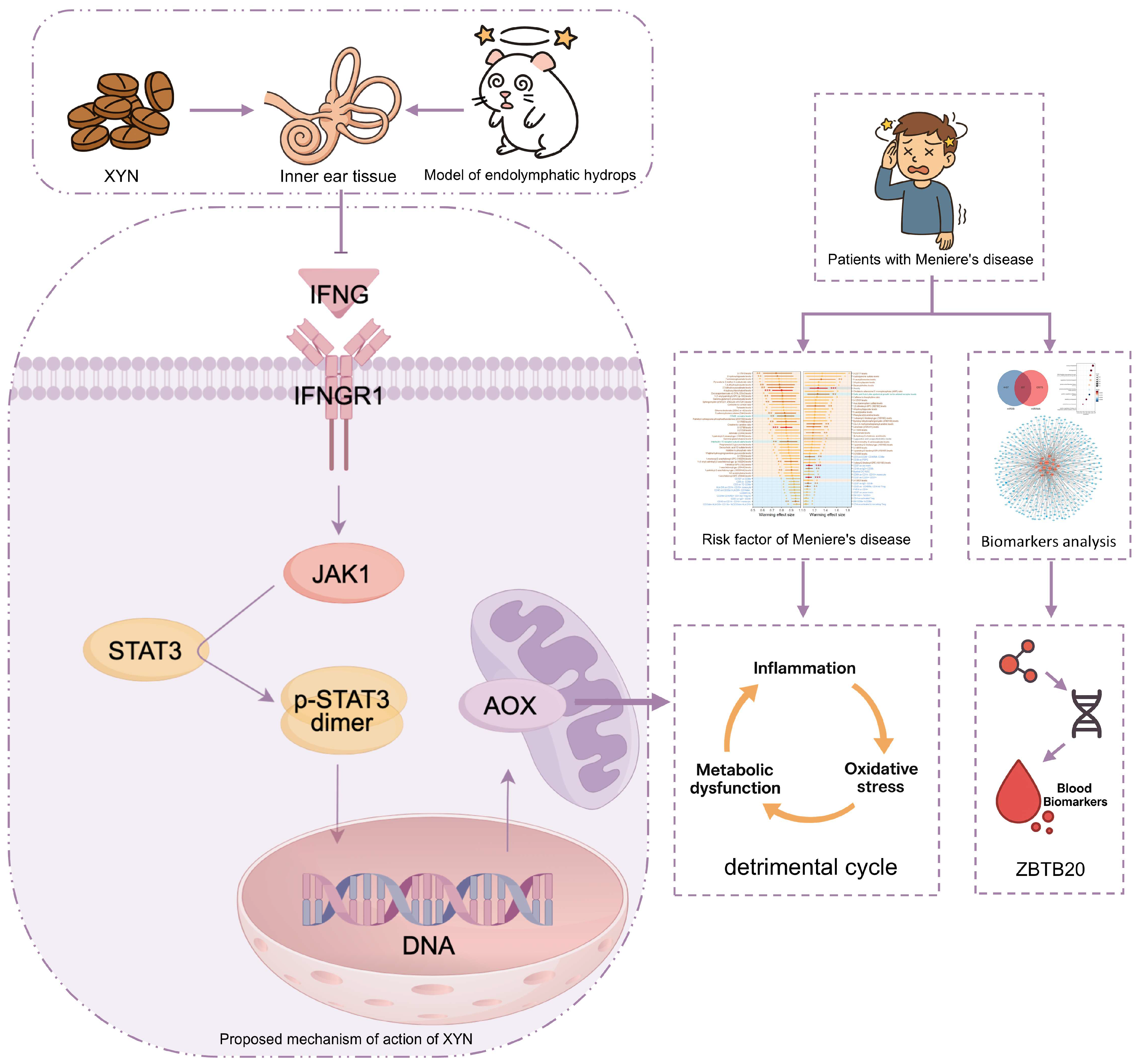 Pharmaceuticals 18 01266 g011 Pharmaceuticals 18 01266 g011