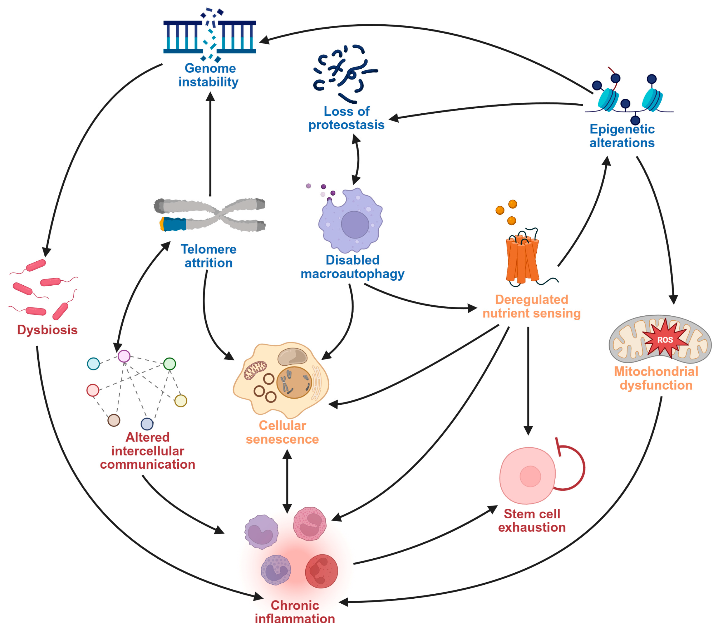 Pharmaceuticals 18 01268 g001