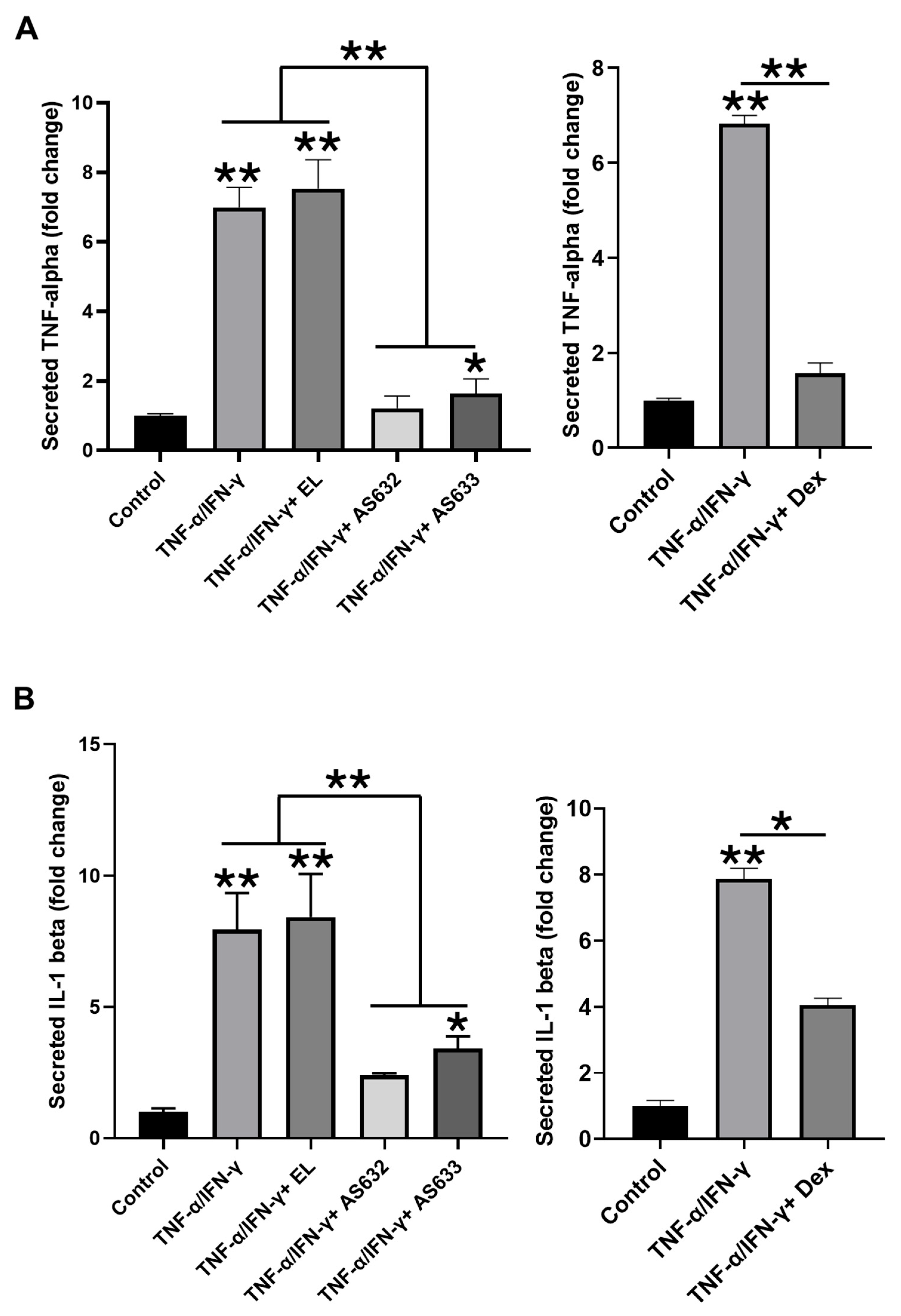 Pharmaceuticals 18 01270 g005