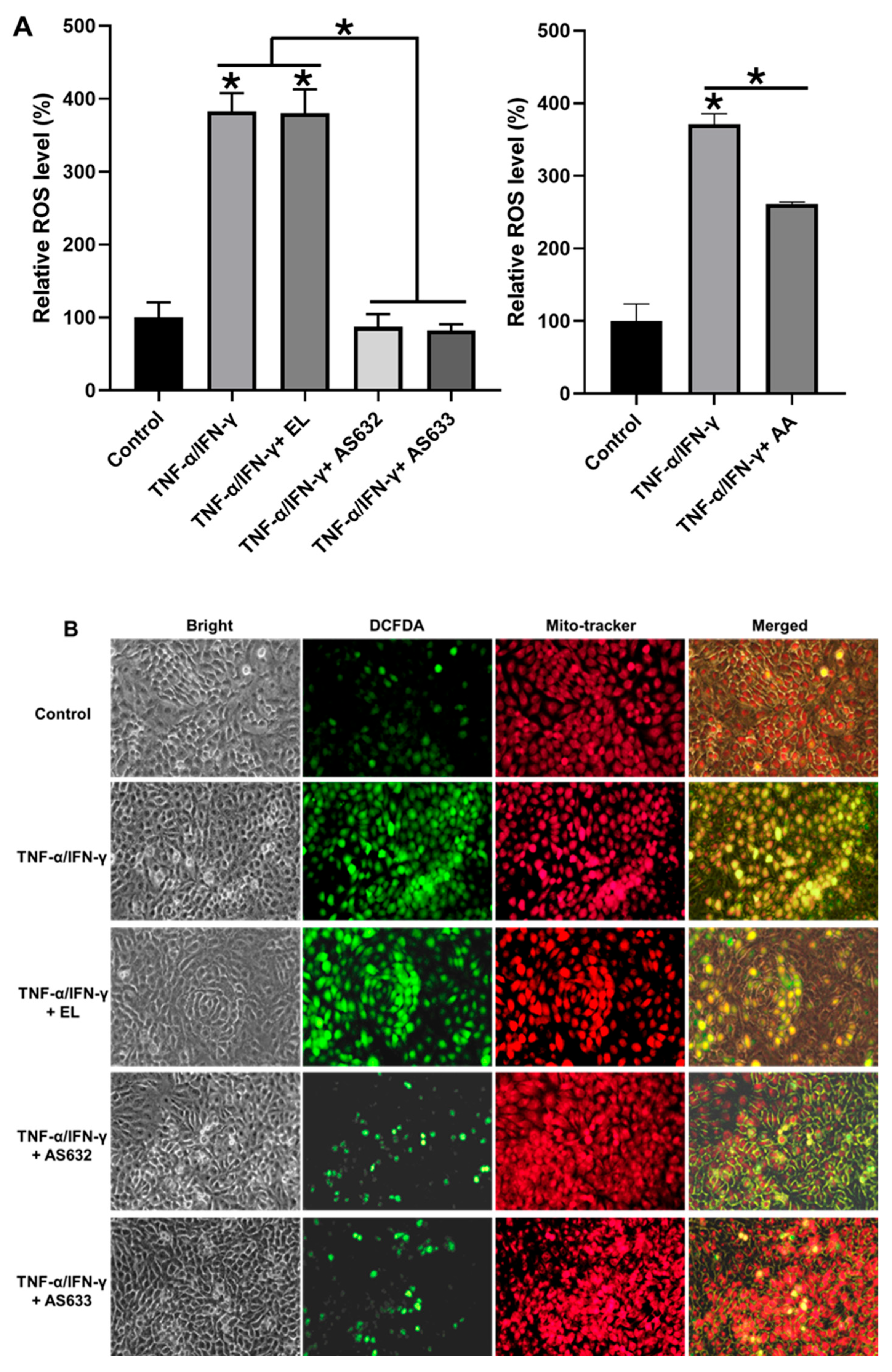 Pharmaceuticals 18 01270 g006
