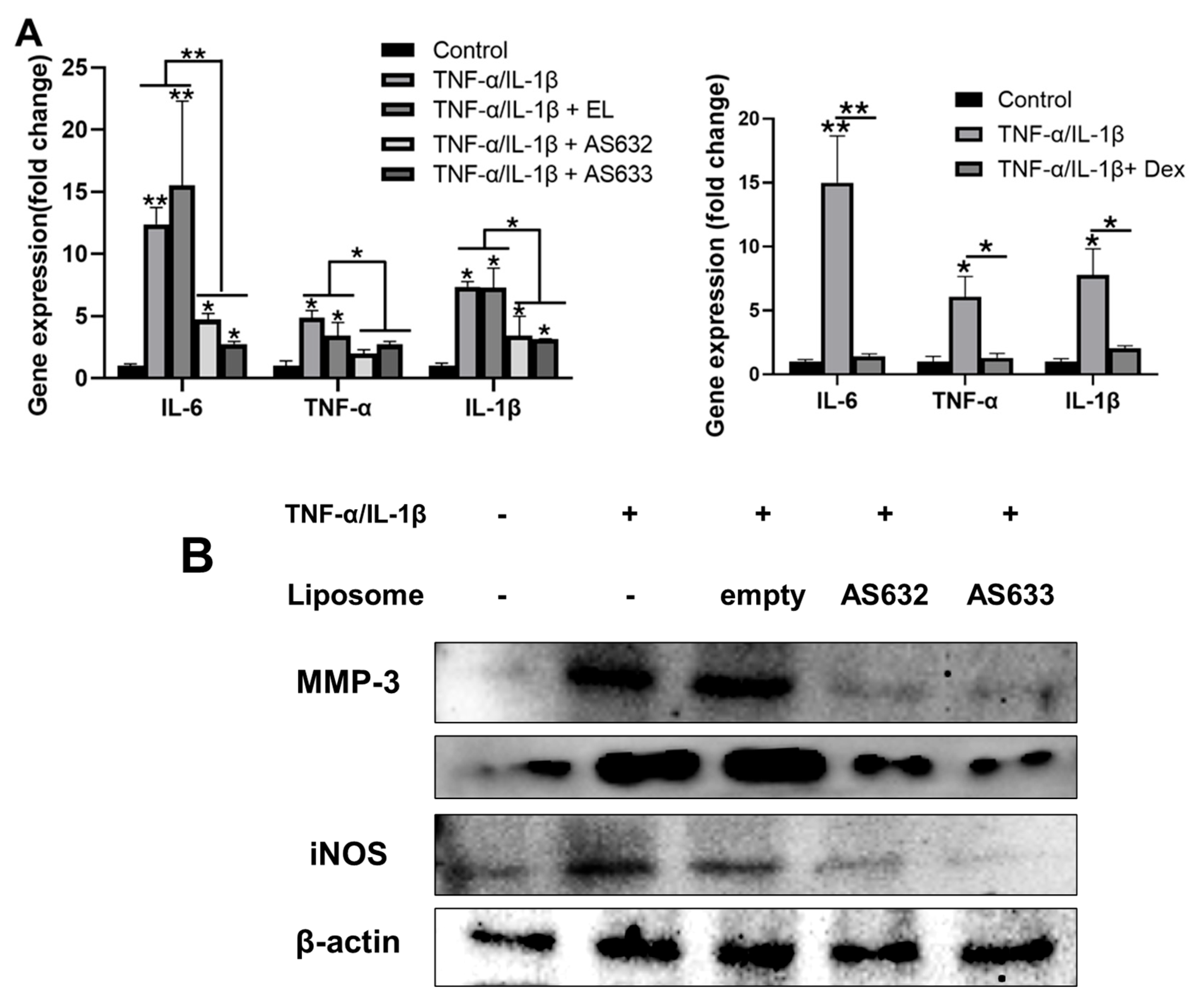 Pharmaceuticals 18 01270 g008