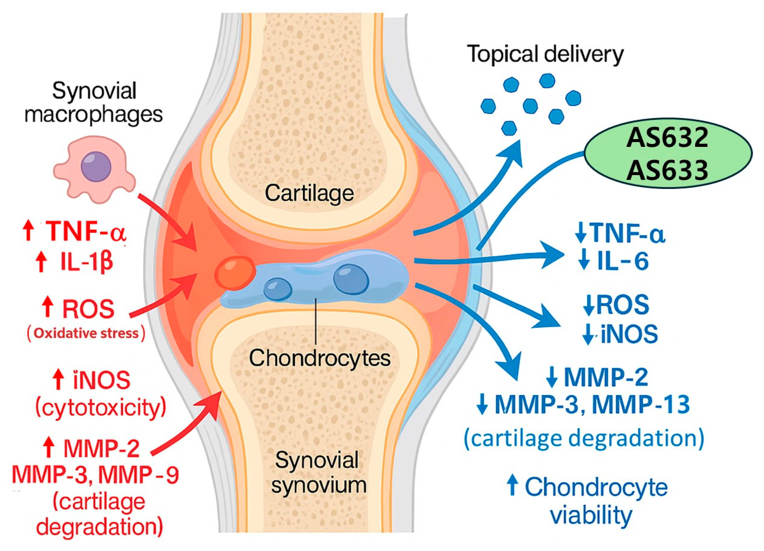 Pharmaceuticals 18 01270 g010