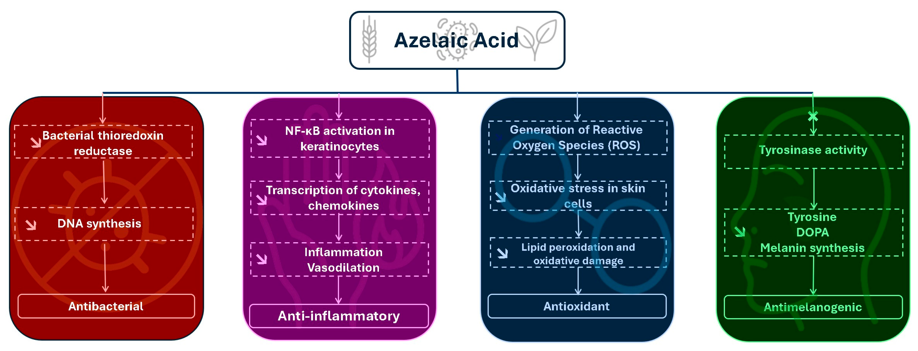 Pharmaceuticals 18 01273 g003