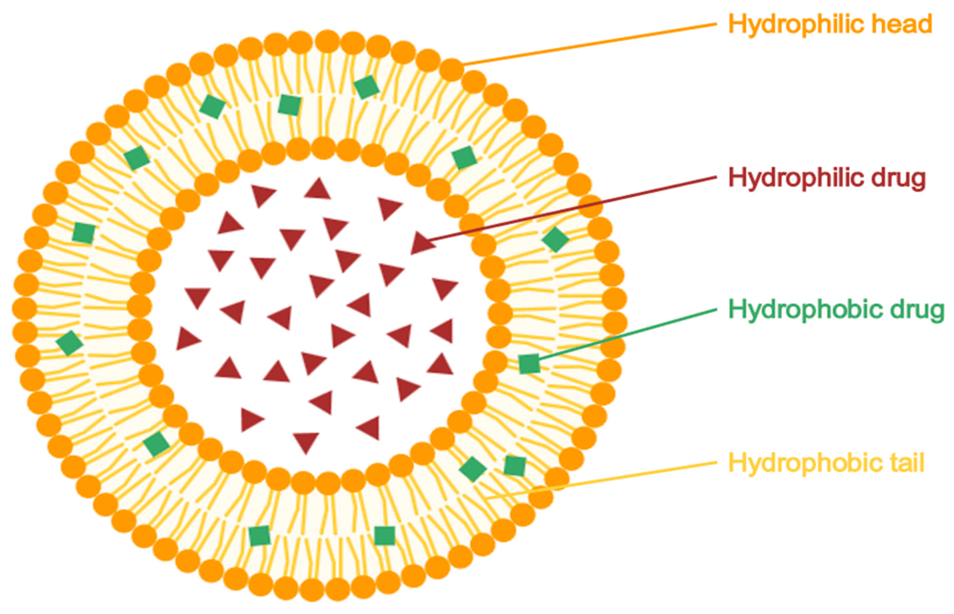 Pharmaceuticals 18 01273 g004