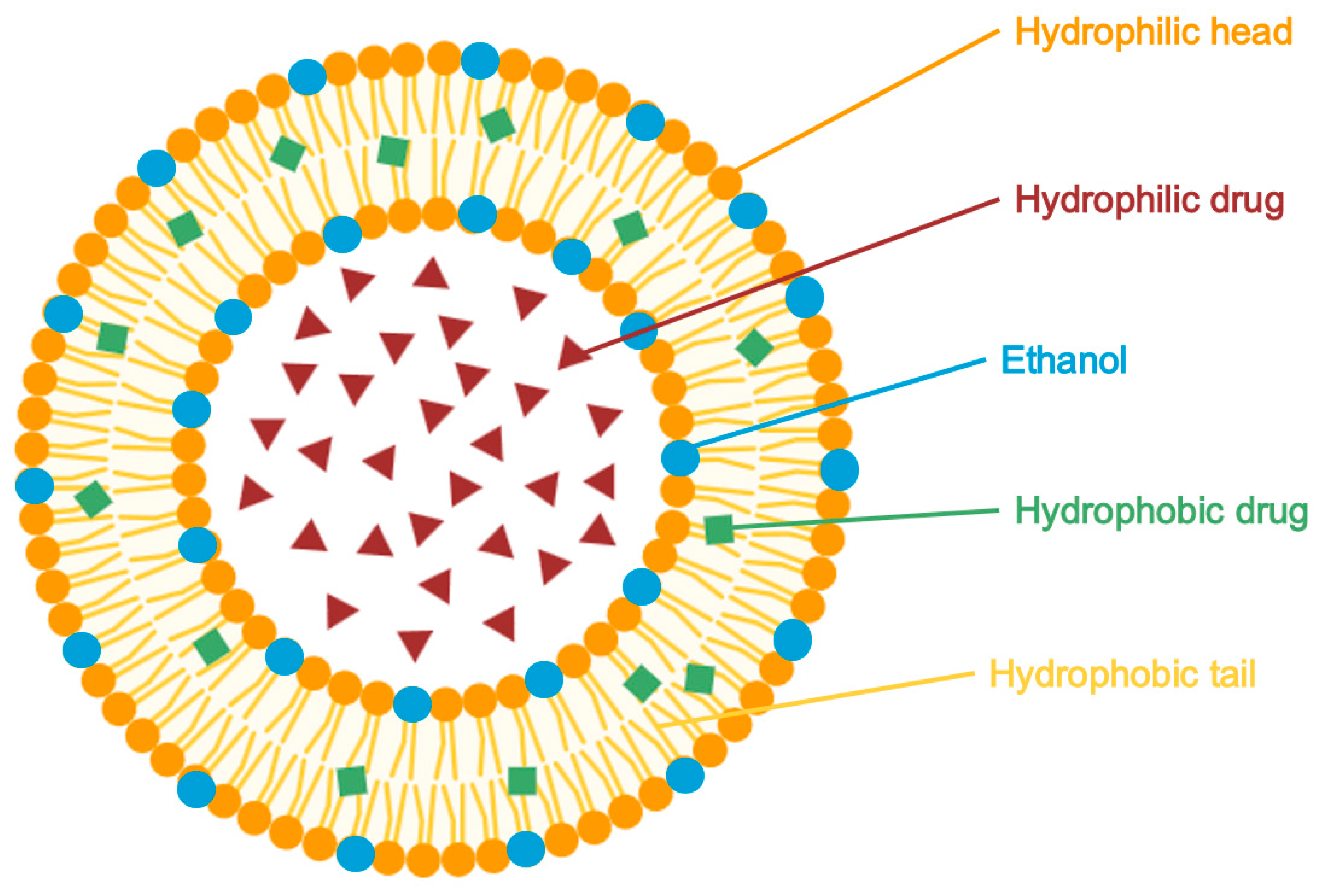 Pharmaceuticals 18 01273 g005
