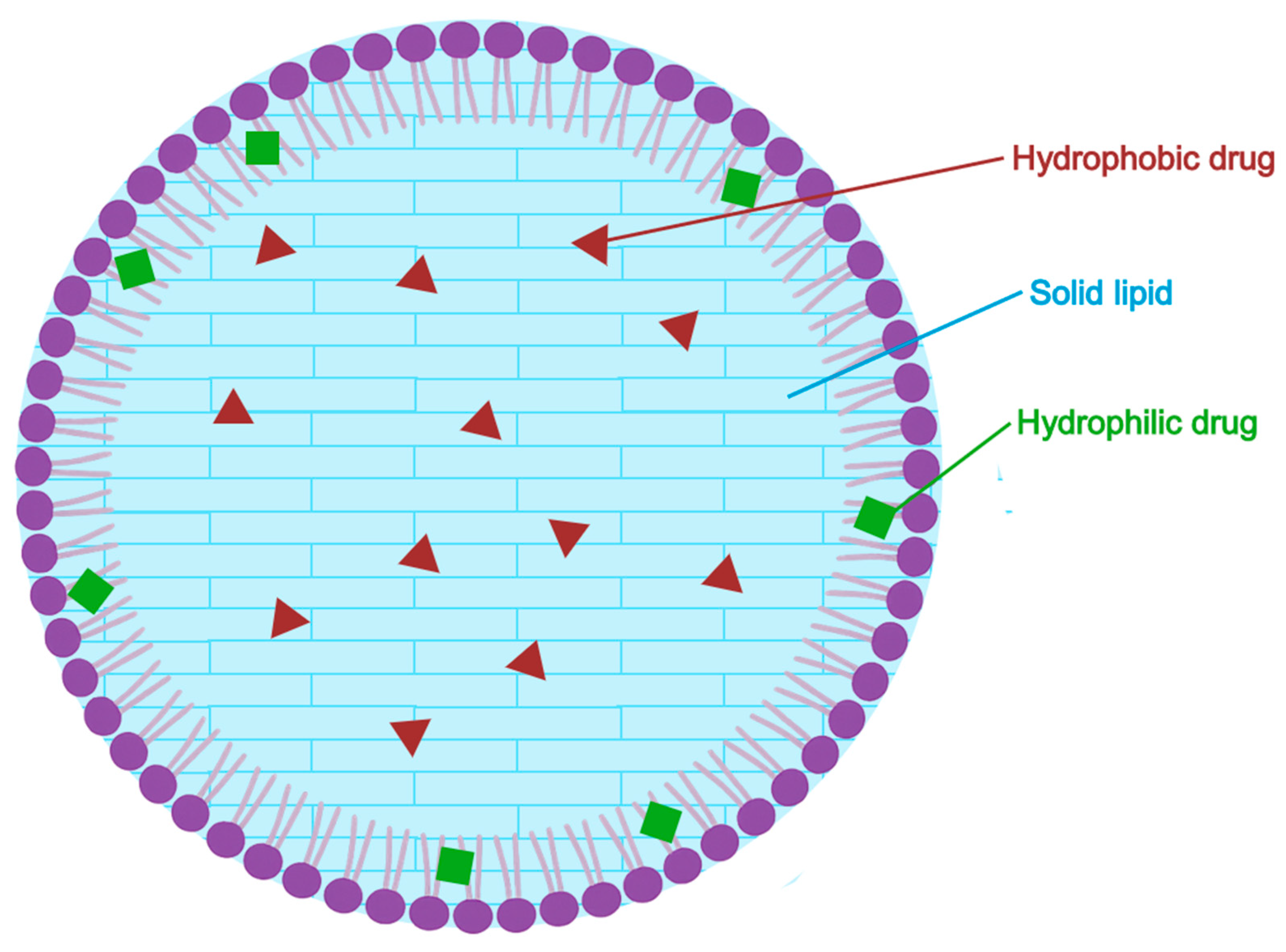 Pharmaceuticals 18 01273 g007