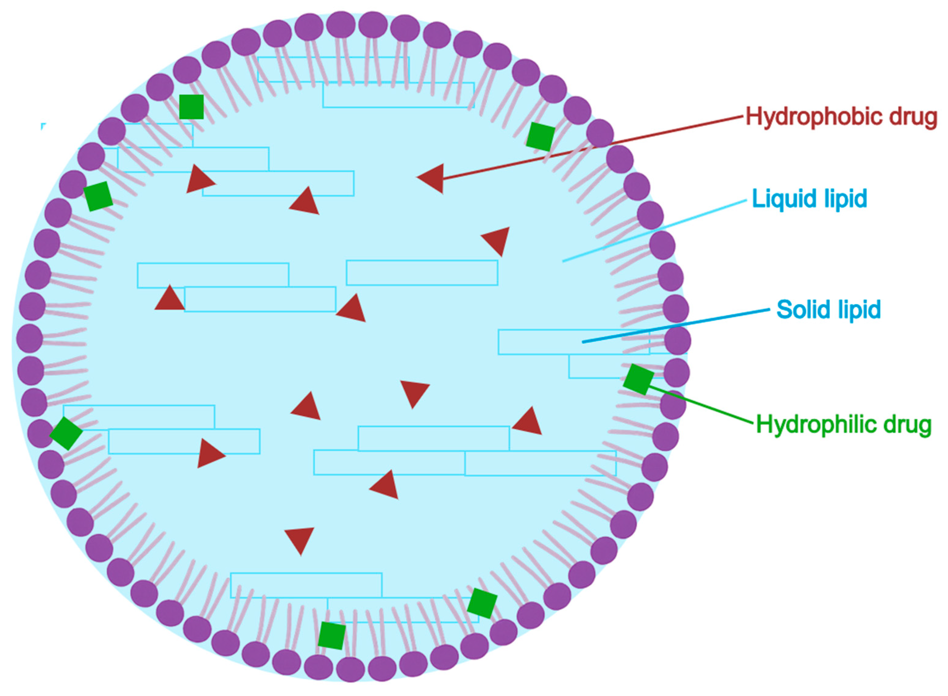 Pharmaceuticals 18 01273 g008