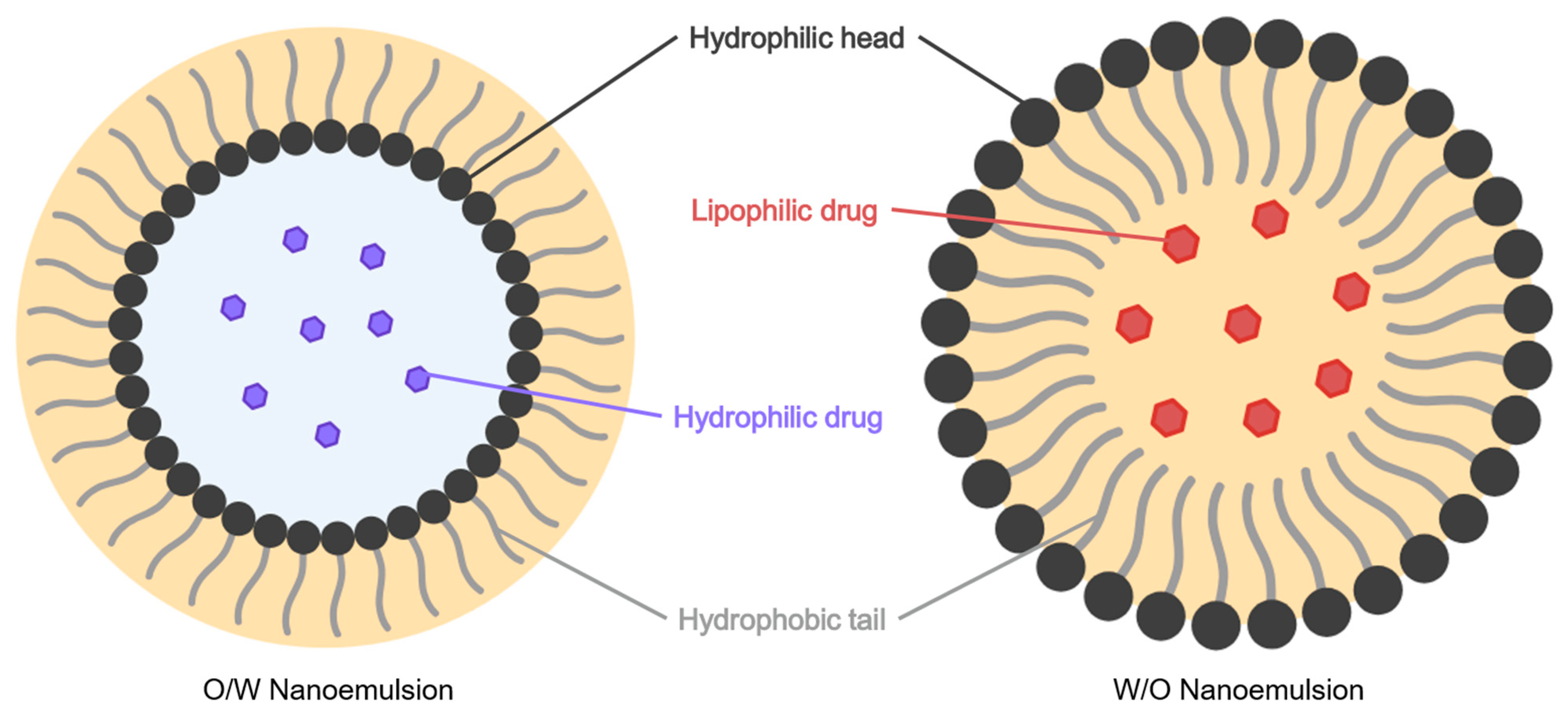 Pharmaceuticals 18 01273 g009