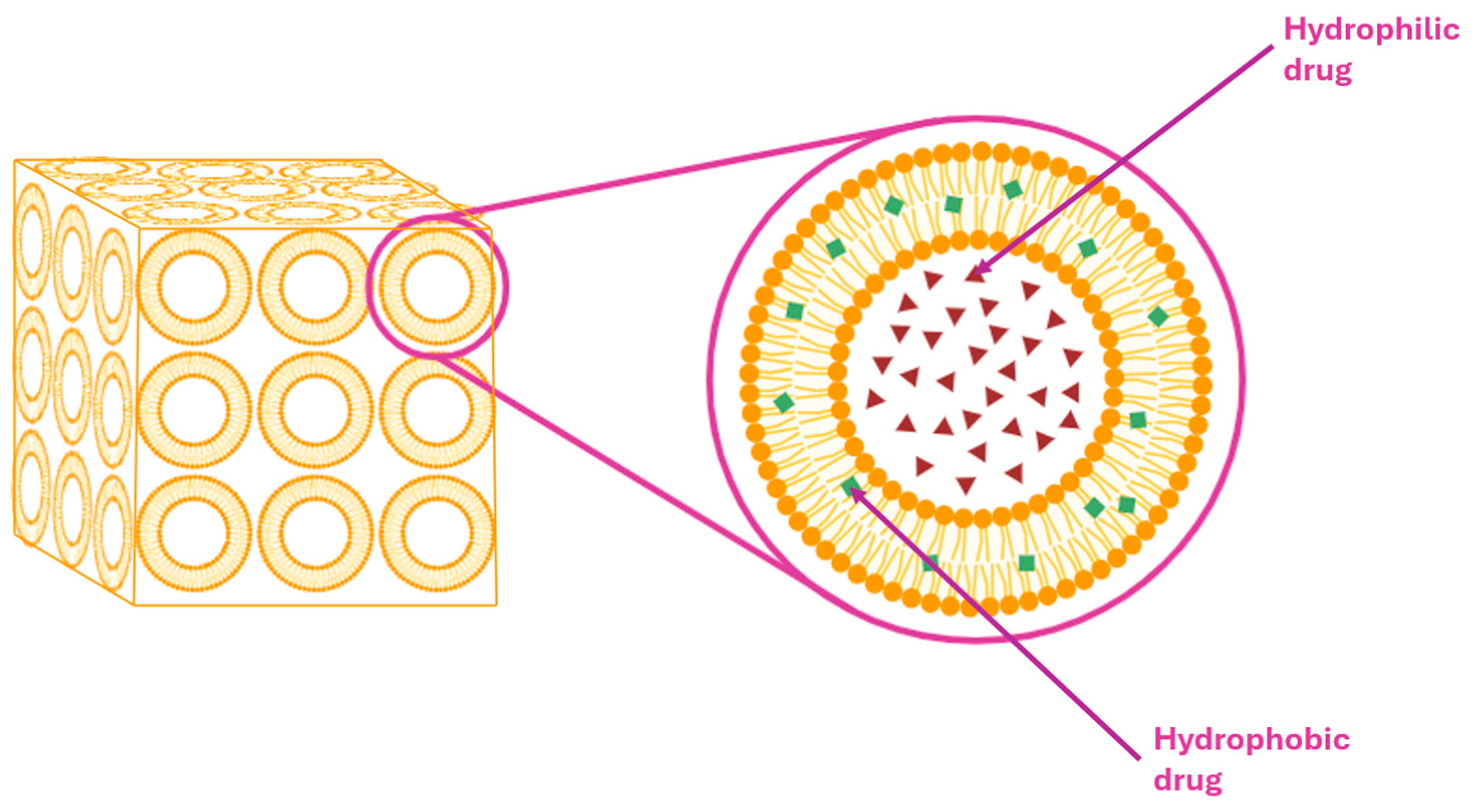 Pharmaceuticals 18 01273 g010