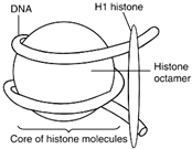 Pharmaceuticals 18 01288 i002 Pharmaceuticals 18 01288 i002