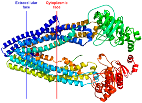 Pharmaceuticals 18 01288 i008 Pharmaceuticals 18 01288 i008