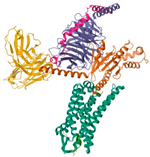 Pharmaceuticals 18 01288 i009 Pharmaceuticals 18 01288 i009