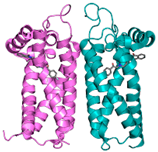 Pharmaceuticals 18 01288 i010 Pharmaceuticals 18 01288 i010