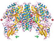 Pharmaceuticals 18 01288 i011 Pharmaceuticals 18 01288 i011