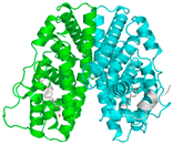 Pharmaceuticals 18 01288 i020 Pharmaceuticals 18 01288 i020