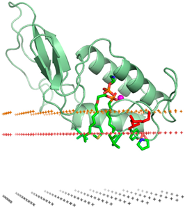 Pharmaceuticals 18 01288 i023 Pharmaceuticals 18 01288 i023