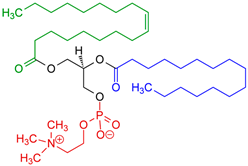 Pharmaceuticals 18 01288 i024 Pharmaceuticals 18 01288 i024
