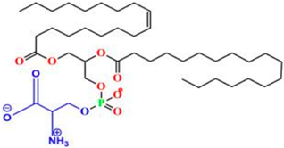 Pharmaceuticals 18 01288 i027 Pharmaceuticals 18 01288 i027