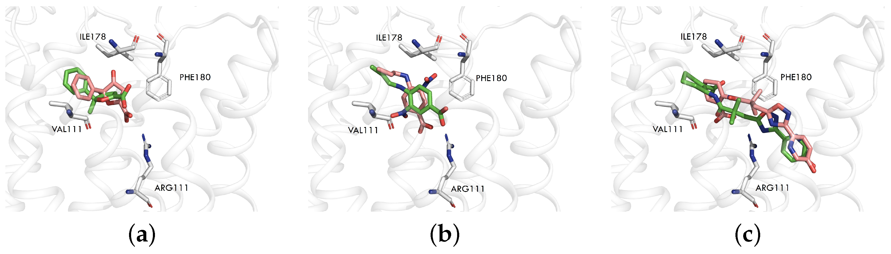 Pharmaceuticals 18 01290 g001