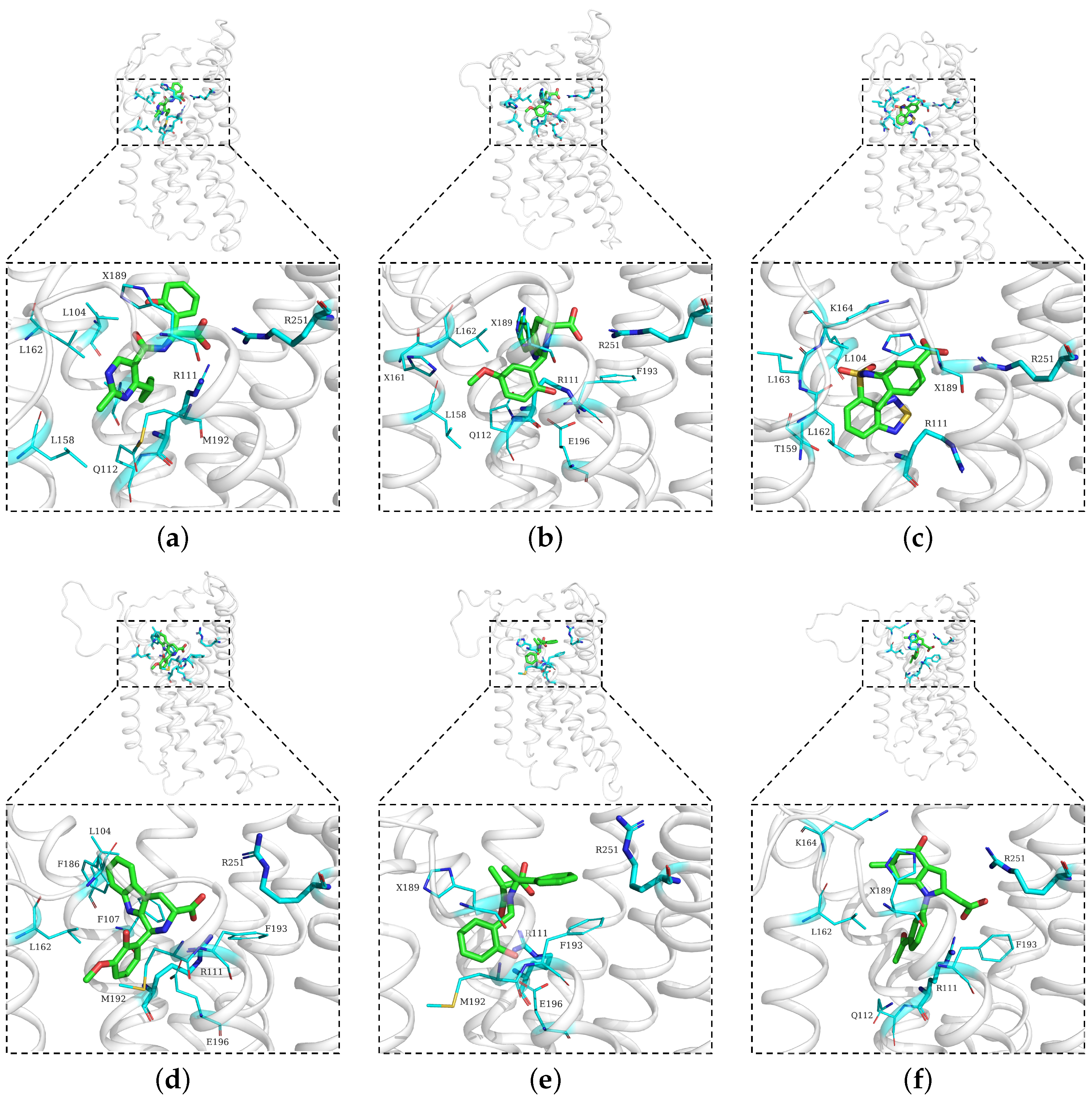 Pharmaceuticals 18 01290 g006