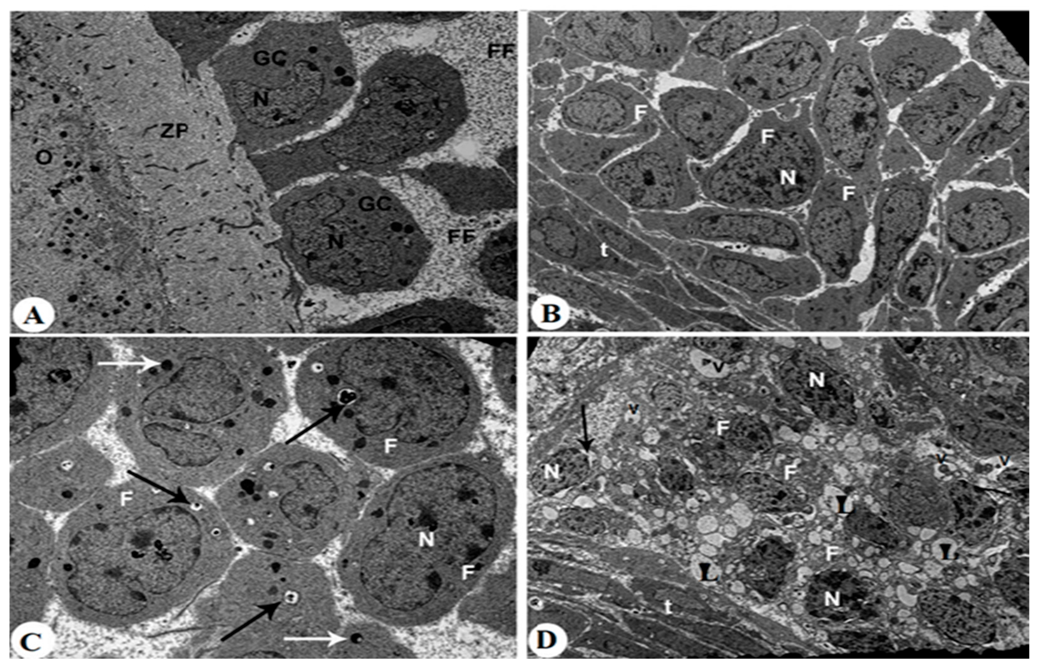 Pharmaceuticals 18 01291 g007