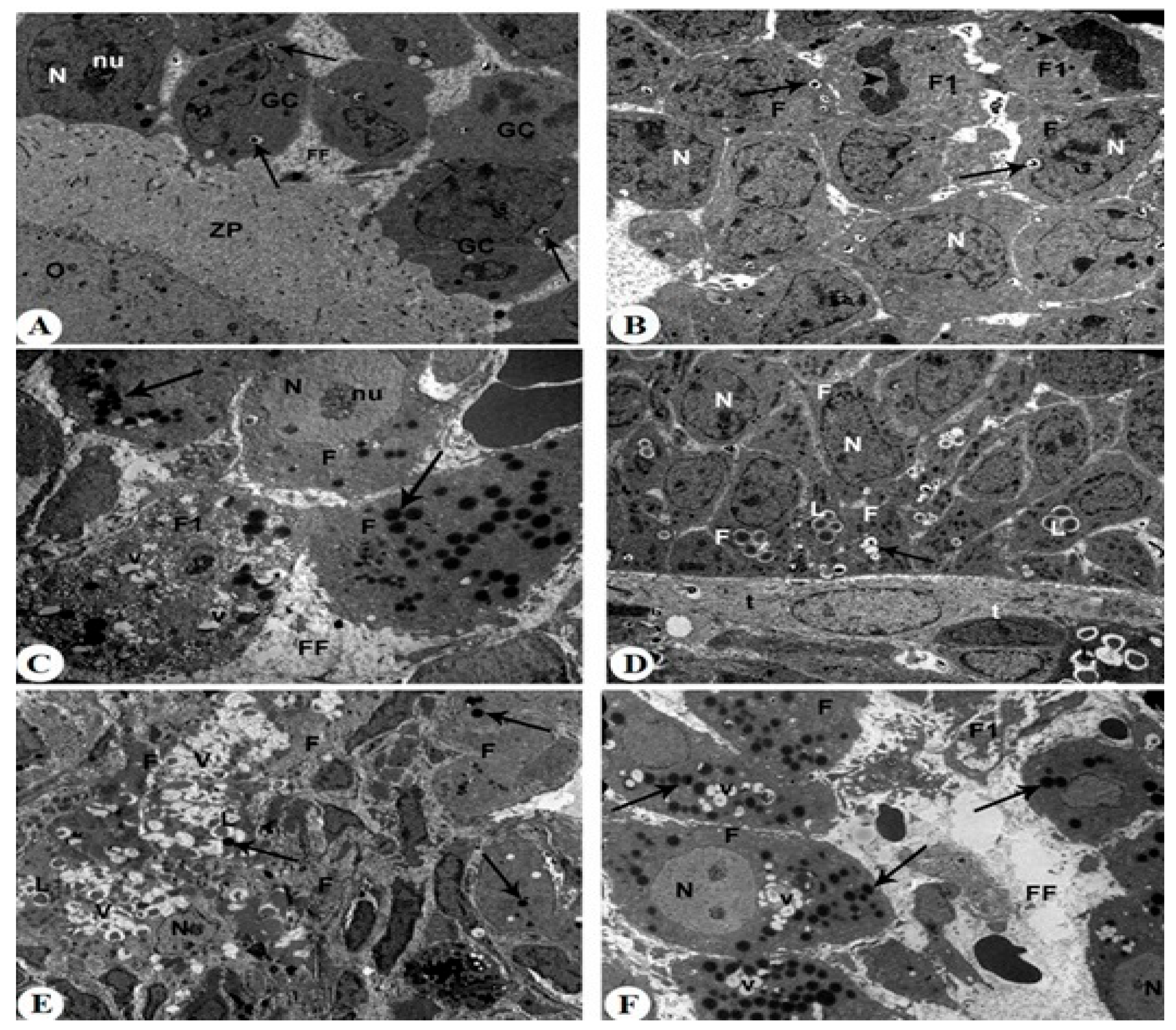 Pharmaceuticals 18 01291 g008