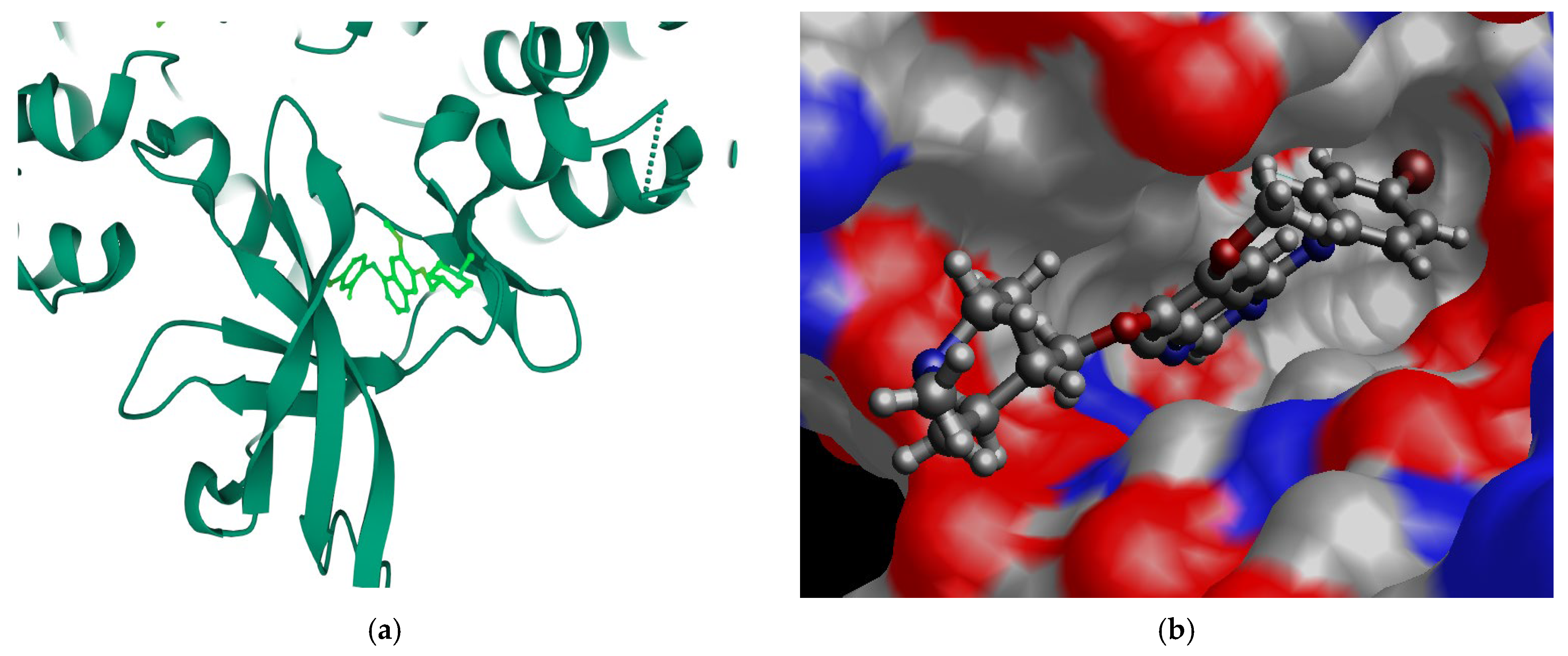 Pharmaceuticals 18 01297 g001 Pharmaceuticals 18 01297 g001