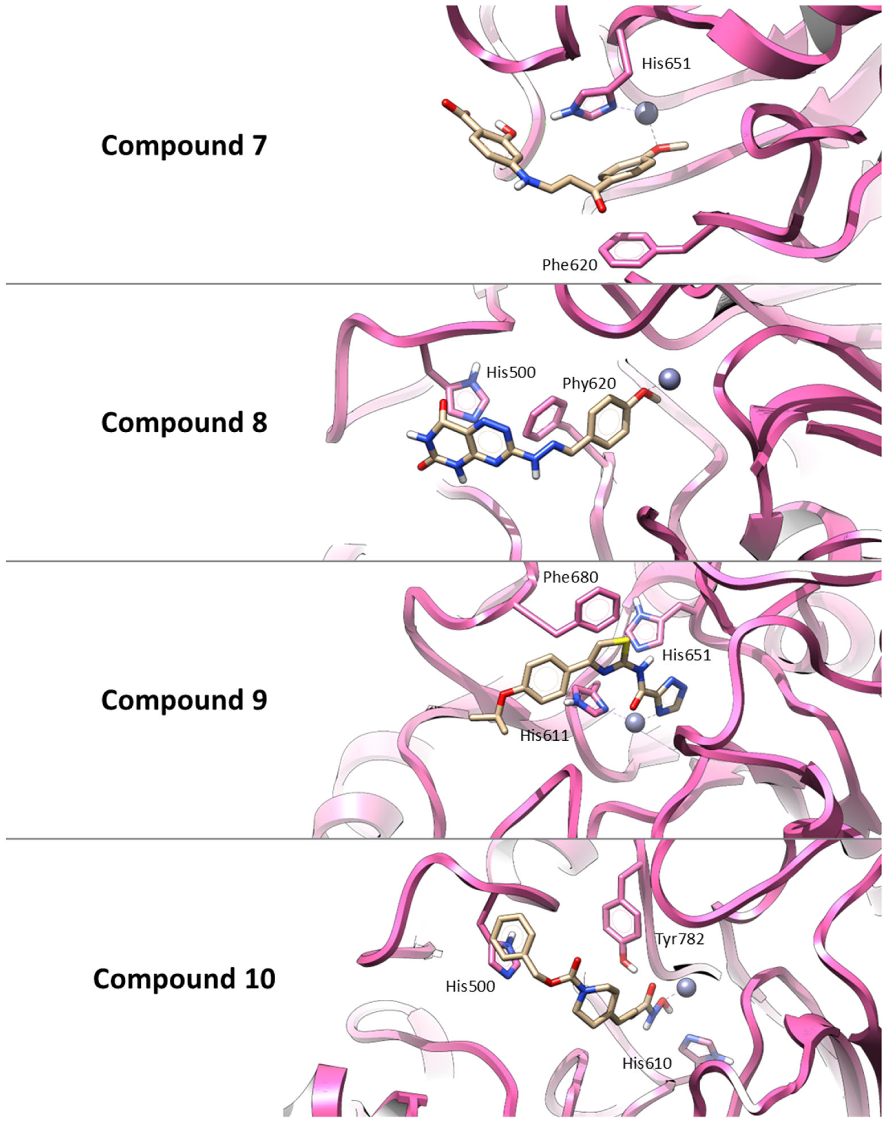 Pharmaceuticals 18 01303 g003