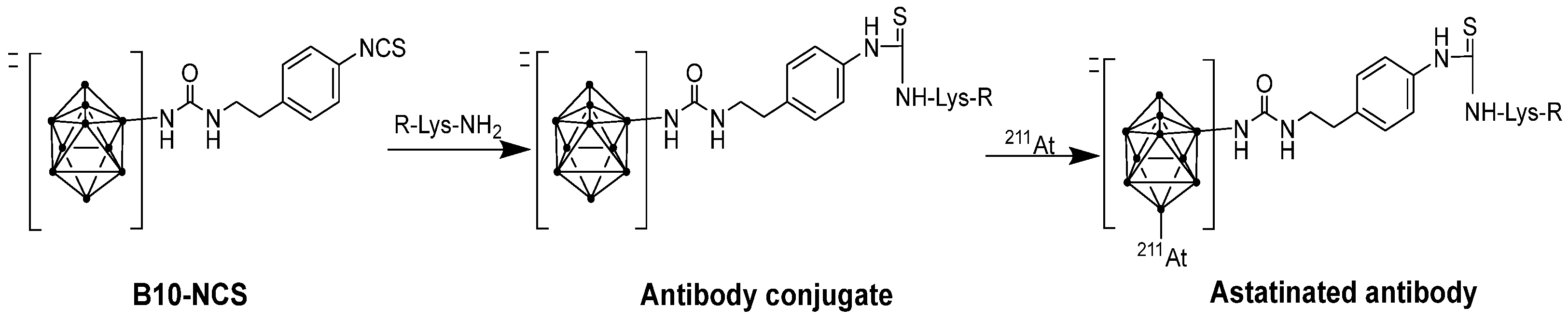 Pharmaceuticals 18 01316 g007 Pharmaceuticals 18 01316 g007