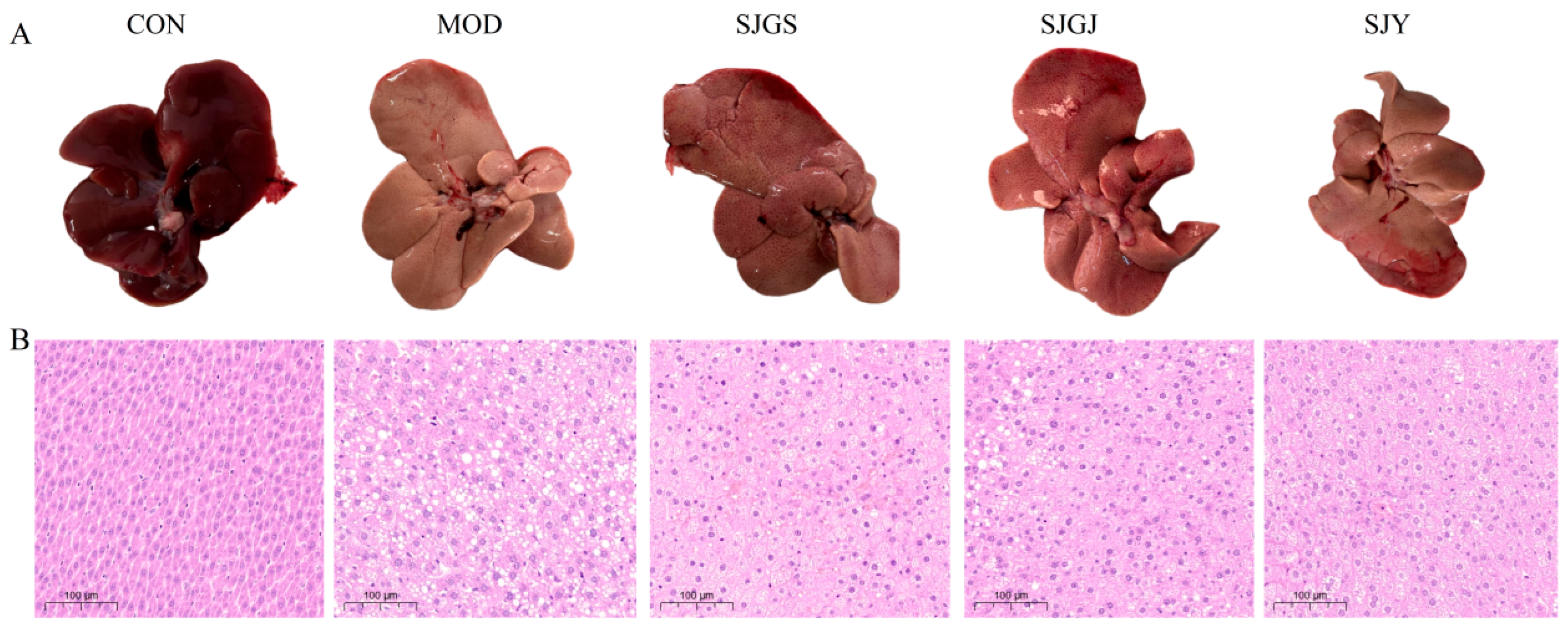 Pharmaceuticals 18 01320 g003 Pharmaceuticals 18 01320 g003