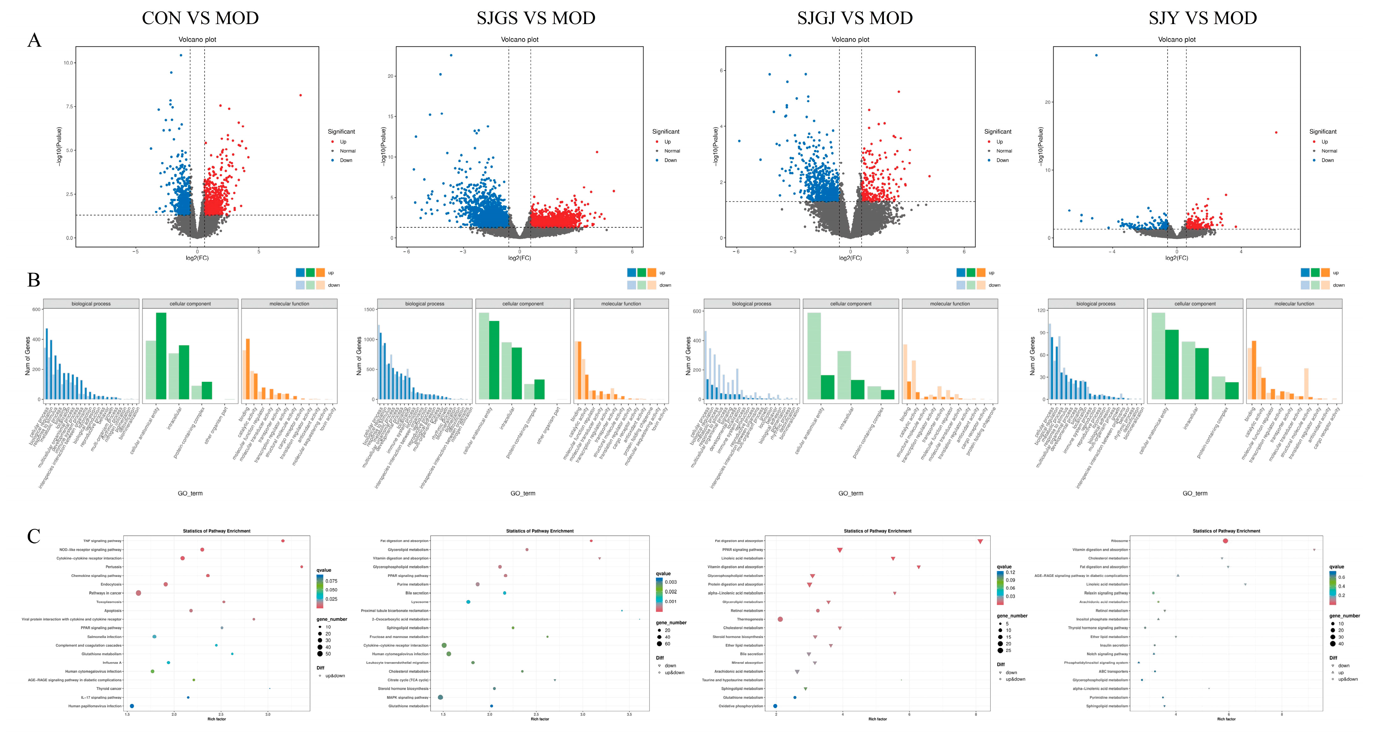 Pharmaceuticals 18 01320 g006 Pharmaceuticals 18 01320 g006