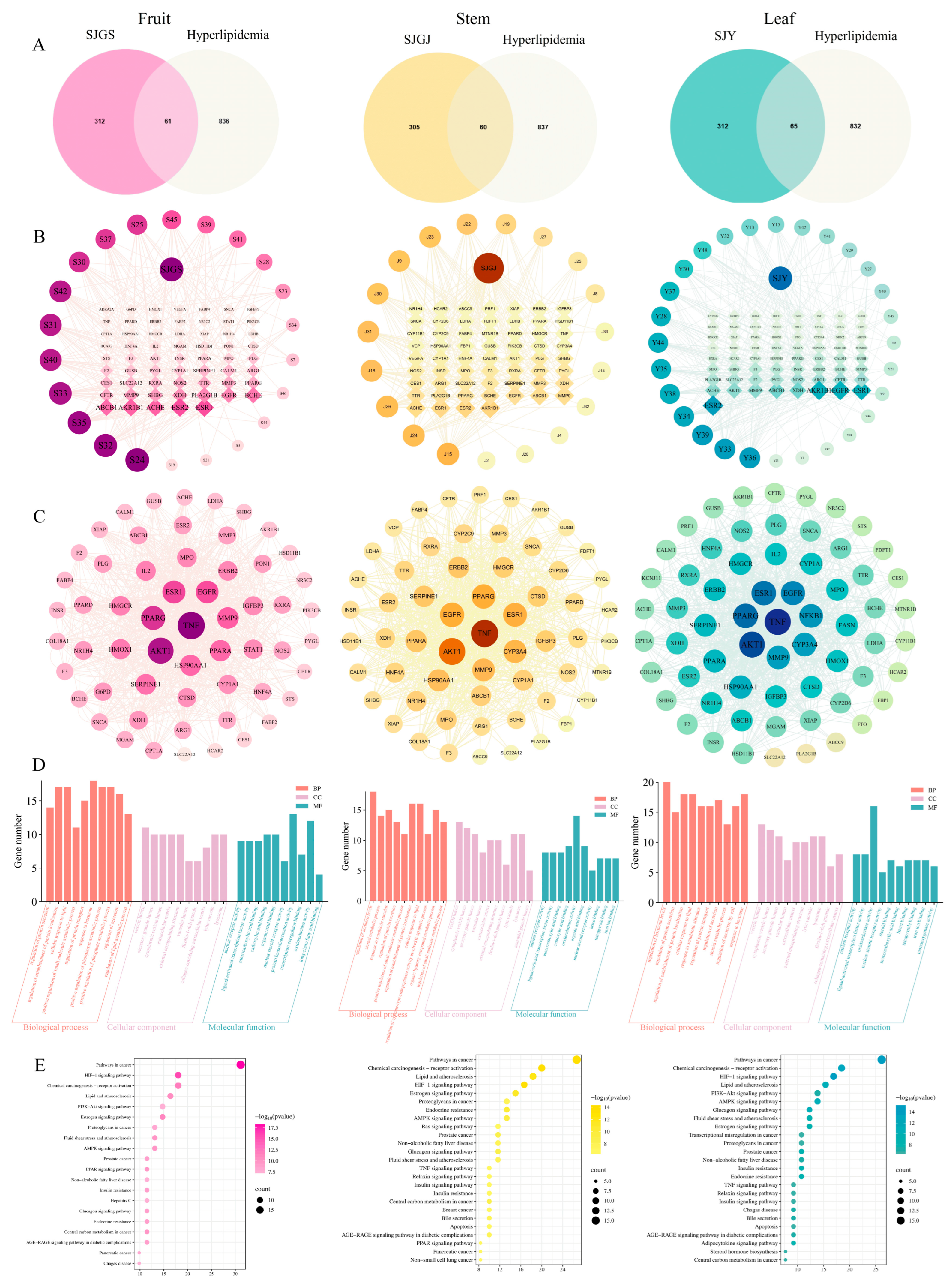 Pharmaceuticals 18 01320 g010 Pharmaceuticals 18 01320 g010