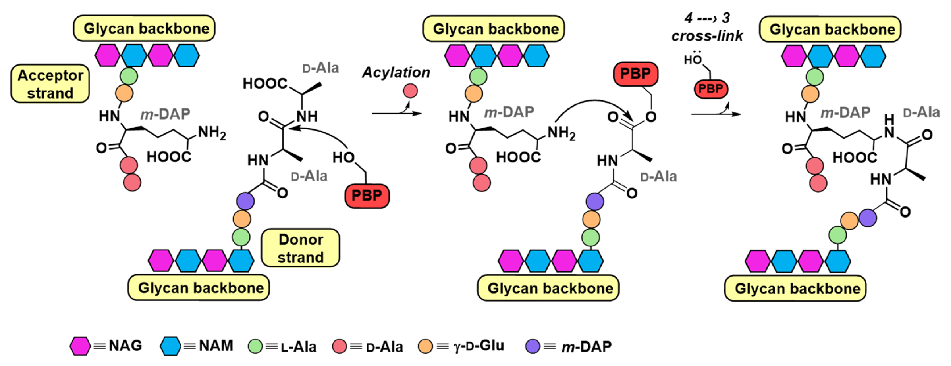 Pharmaceuticals 18 01325 g001 Pharmaceuticals 18 01325 g001