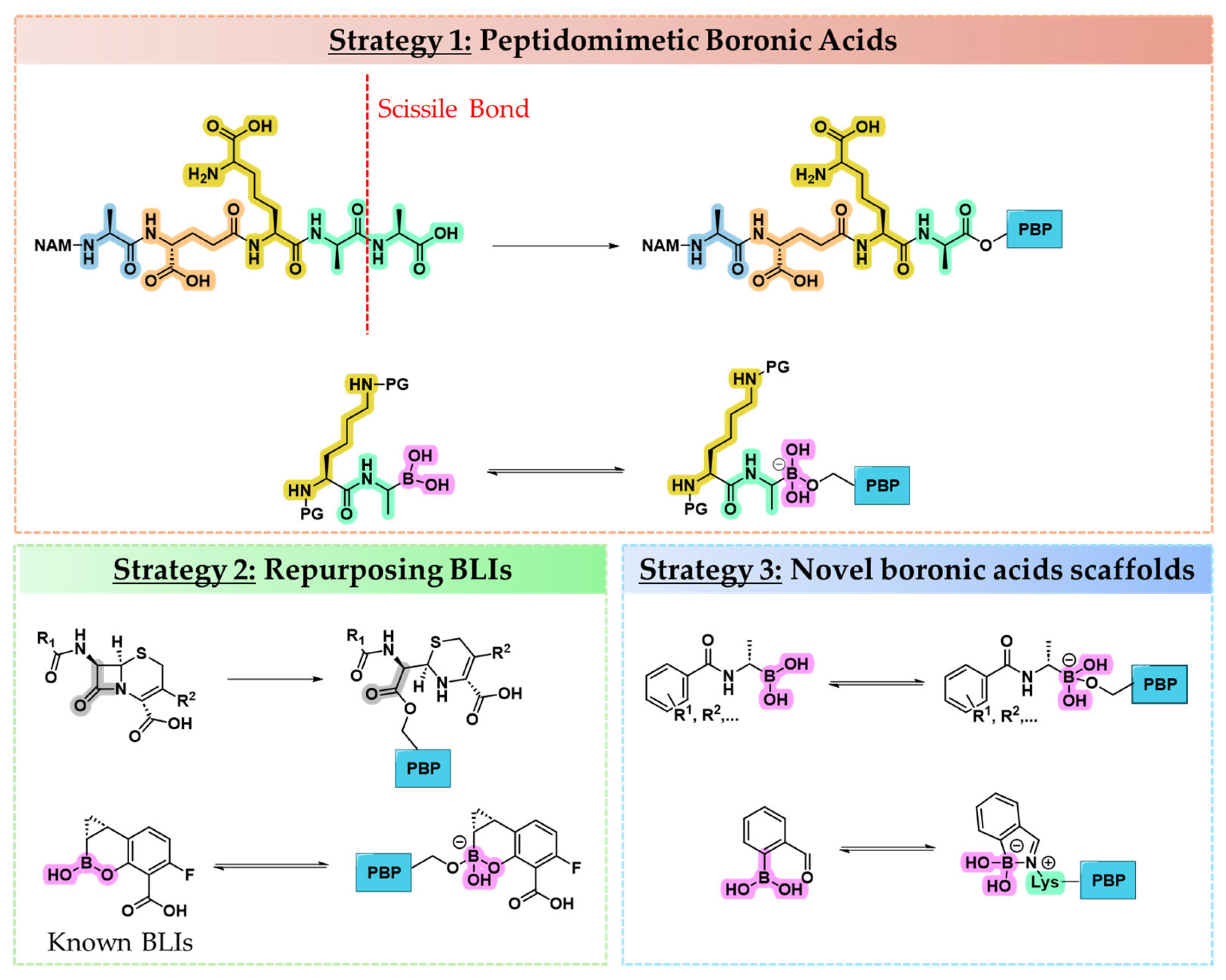 Pharmaceuticals 18 01325 g003 Pharmaceuticals 18 01325 g003