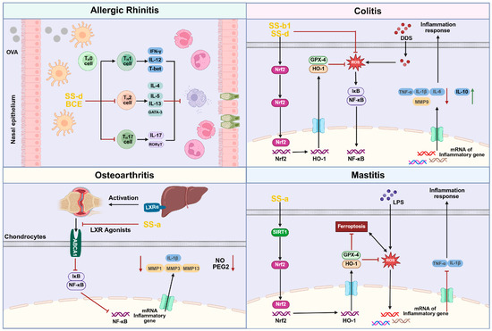 Pharmaceuticals 18 01331 g004