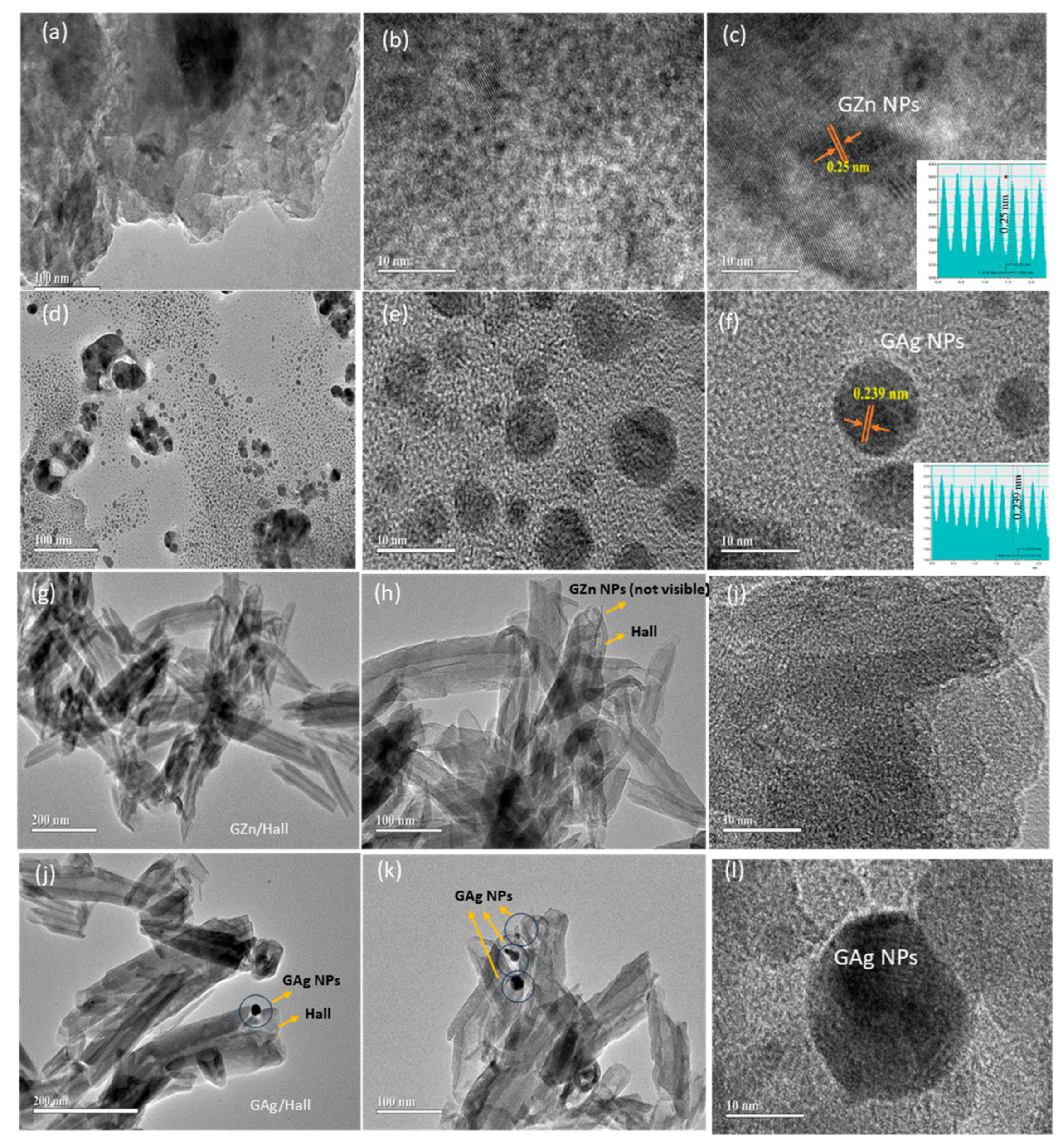 Pharmaceuticals 18 01349 g008