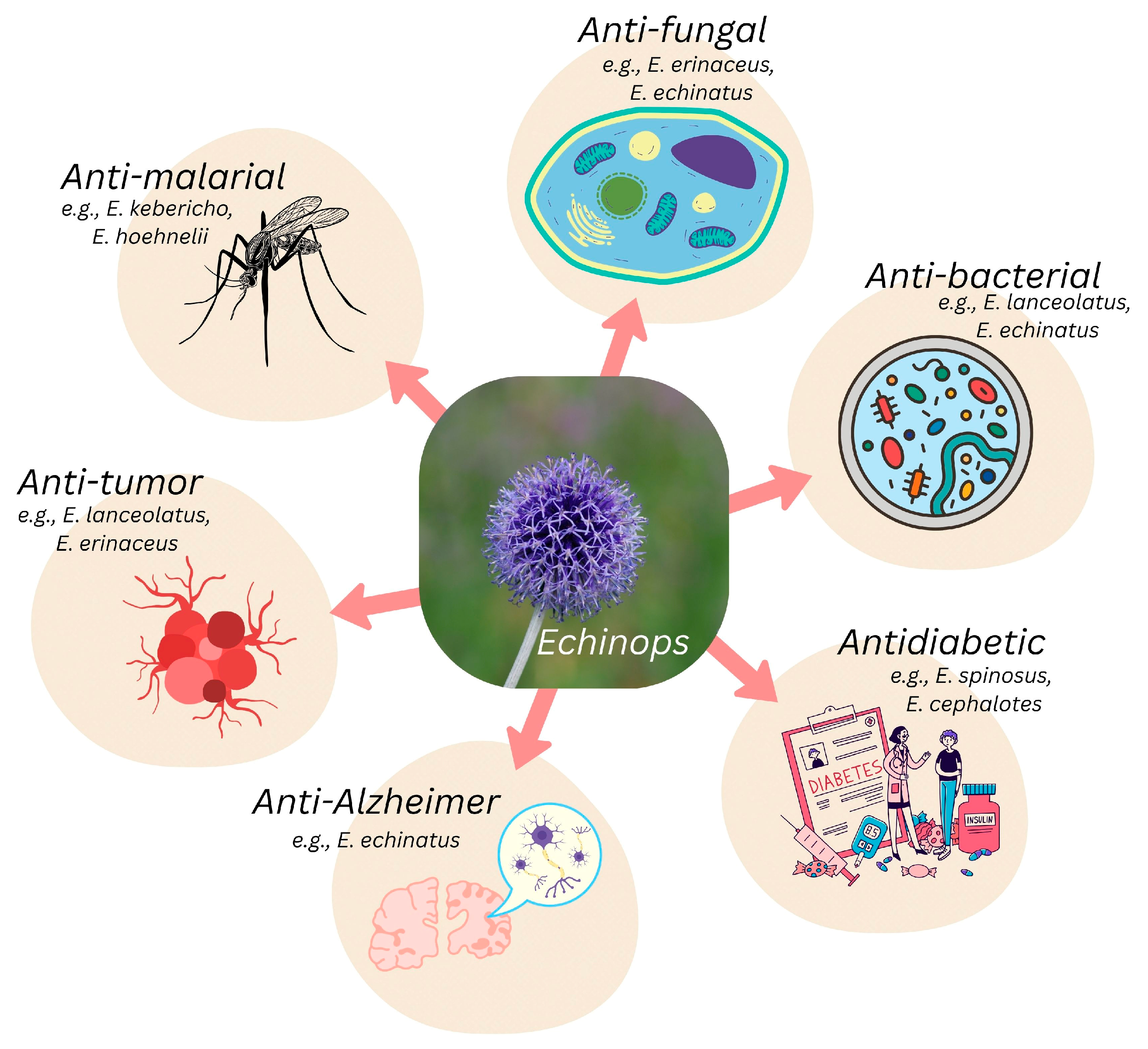 Pharmaceuticals 18 01353 g004
