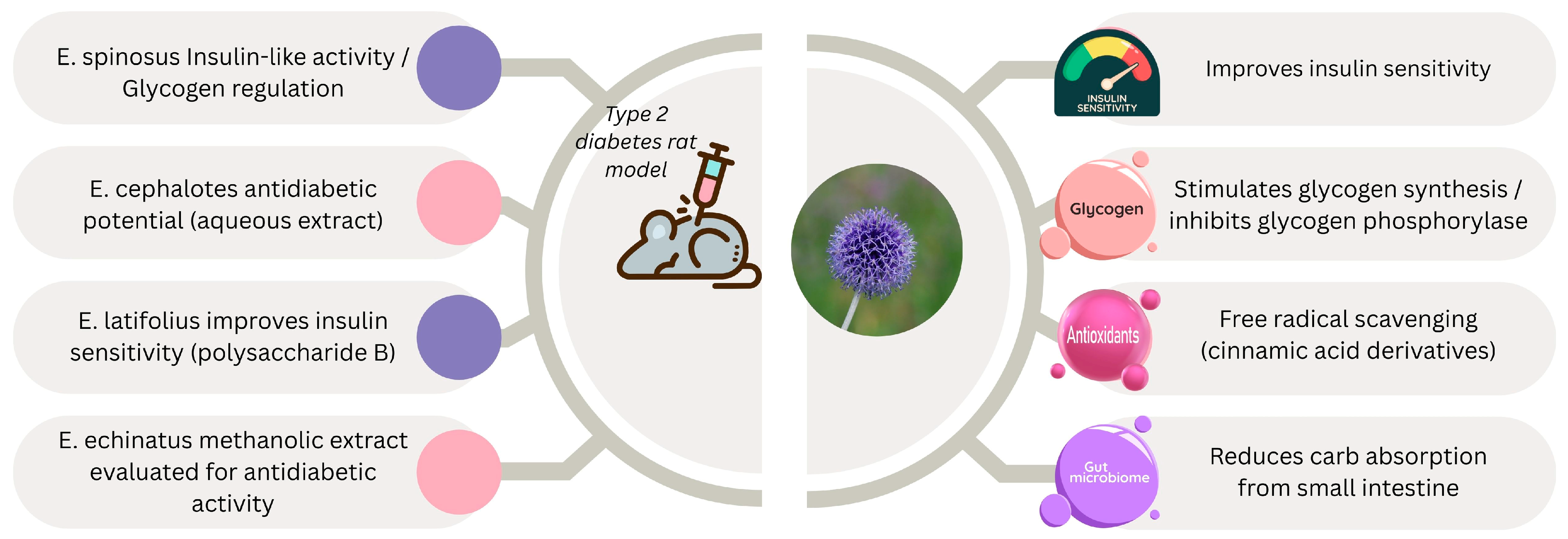 Pharmaceuticals 18 01353 g005