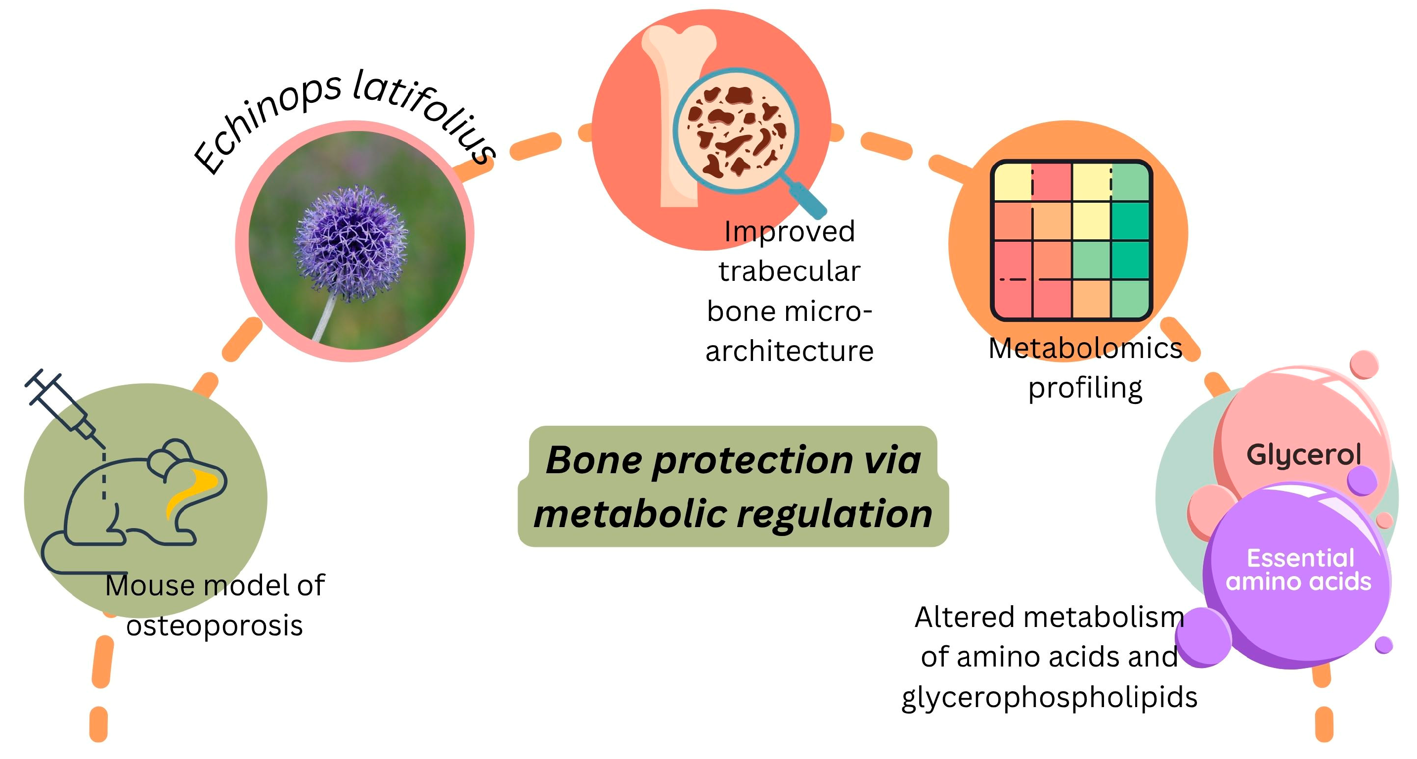 Pharmaceuticals 18 01353 g006