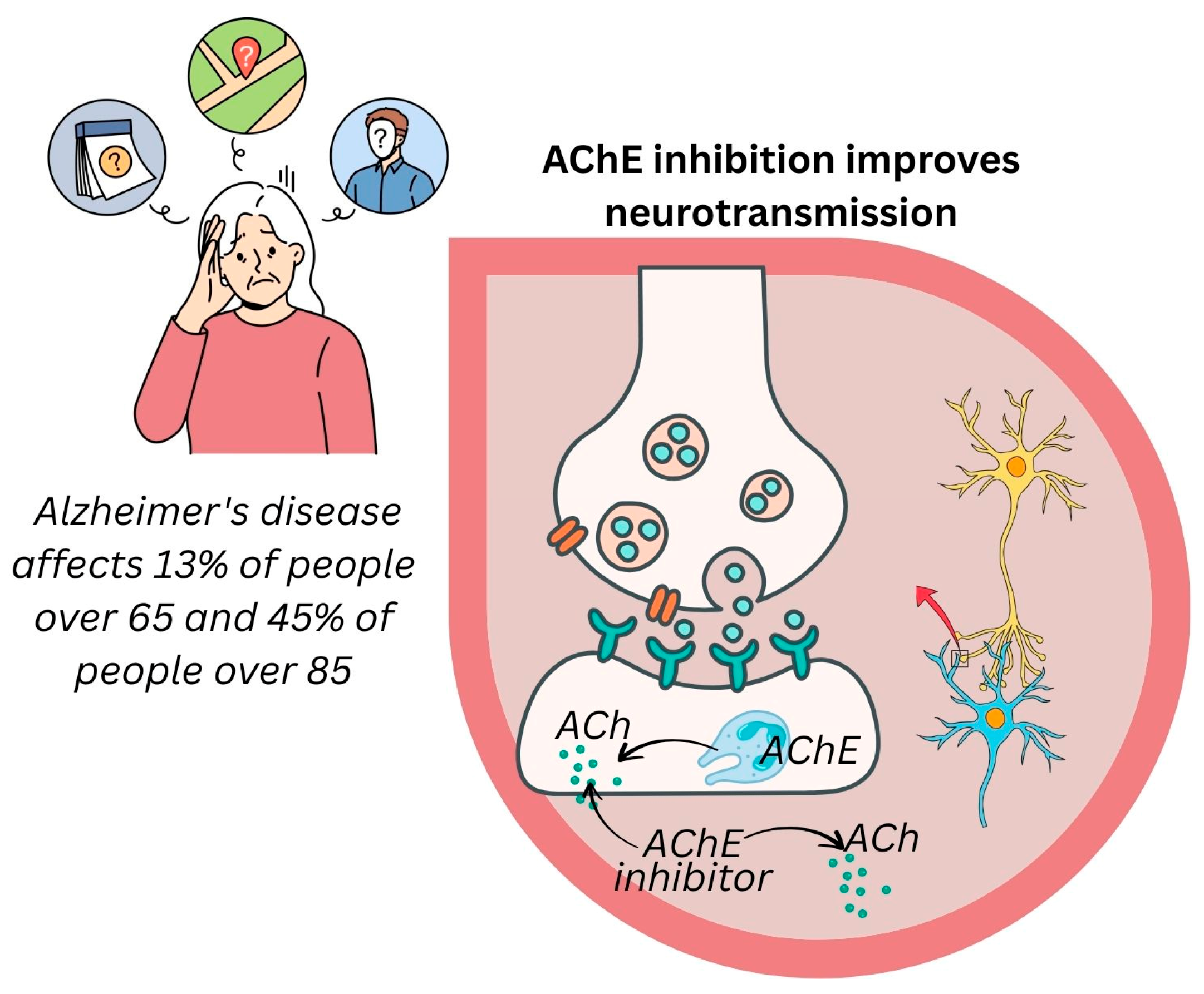 Pharmaceuticals 18 01353 g007