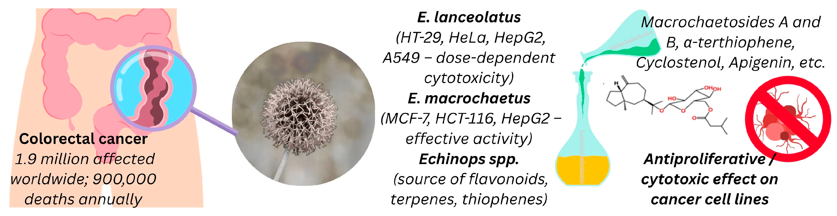 Pharmaceuticals 18 01353 g010