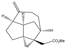 Pharmaceuticals 18 01353 i066
